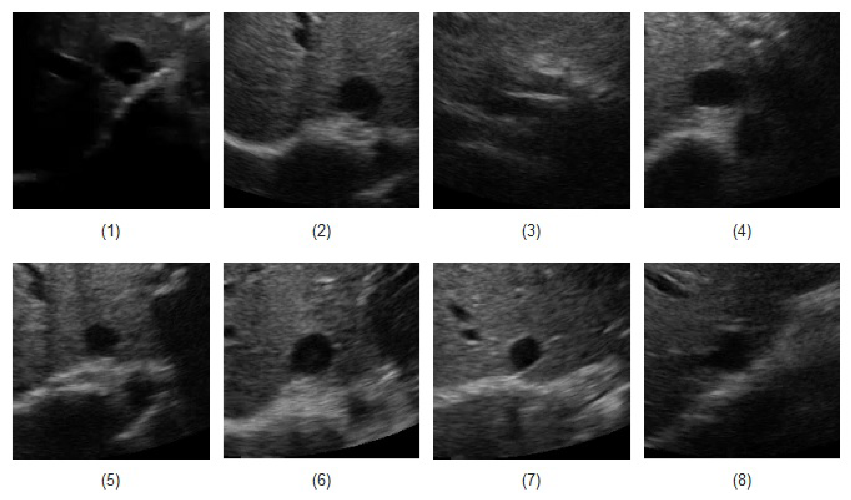 Jimaging 05 00012 g005 Jimaging 05 00012 g005