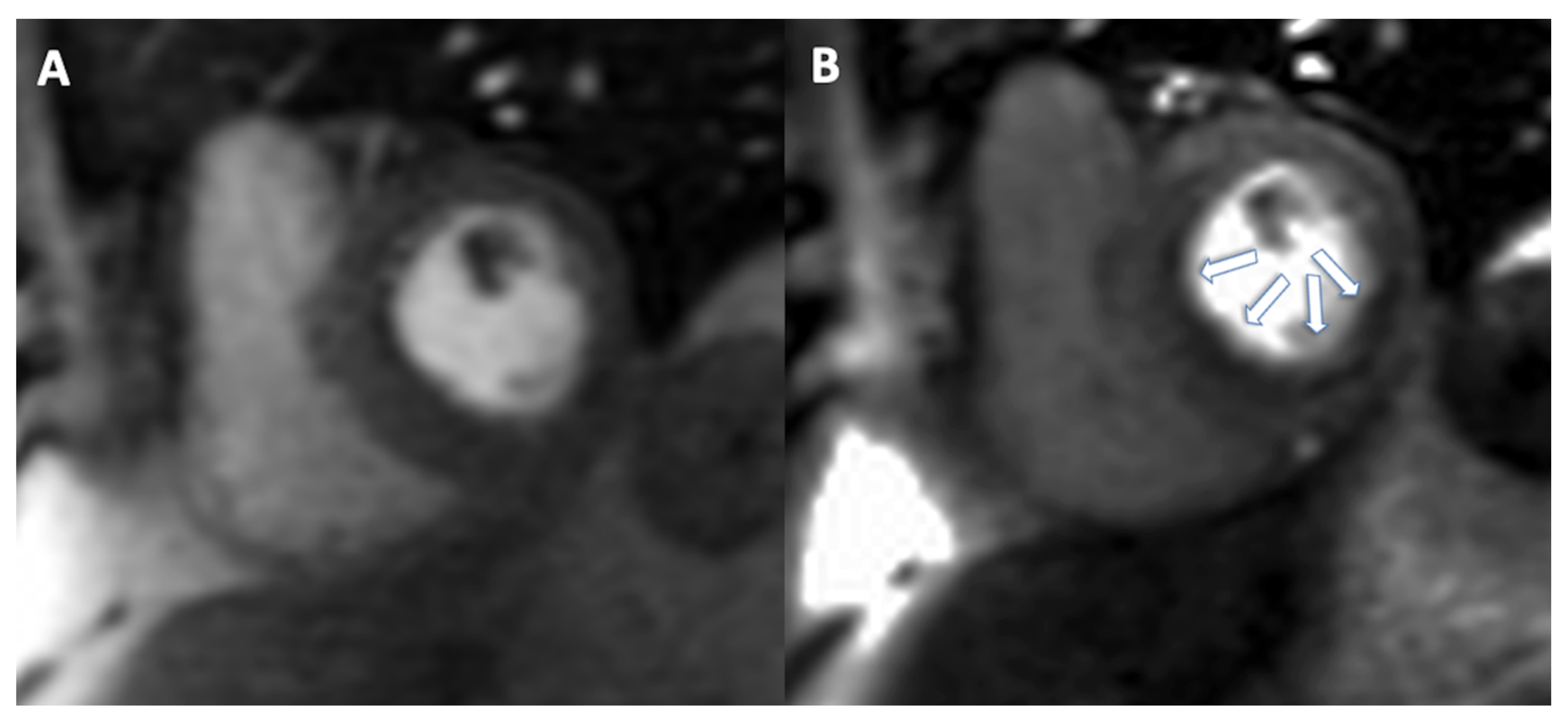 Jimaging 08 00035 g004