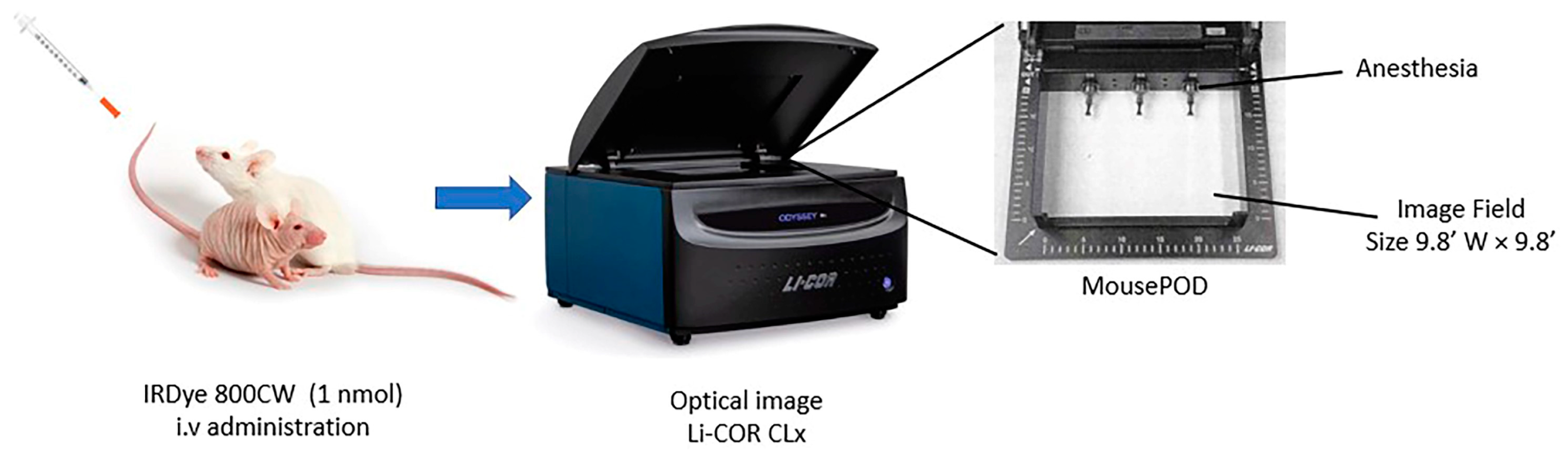 Jimaging 09 00212 g001