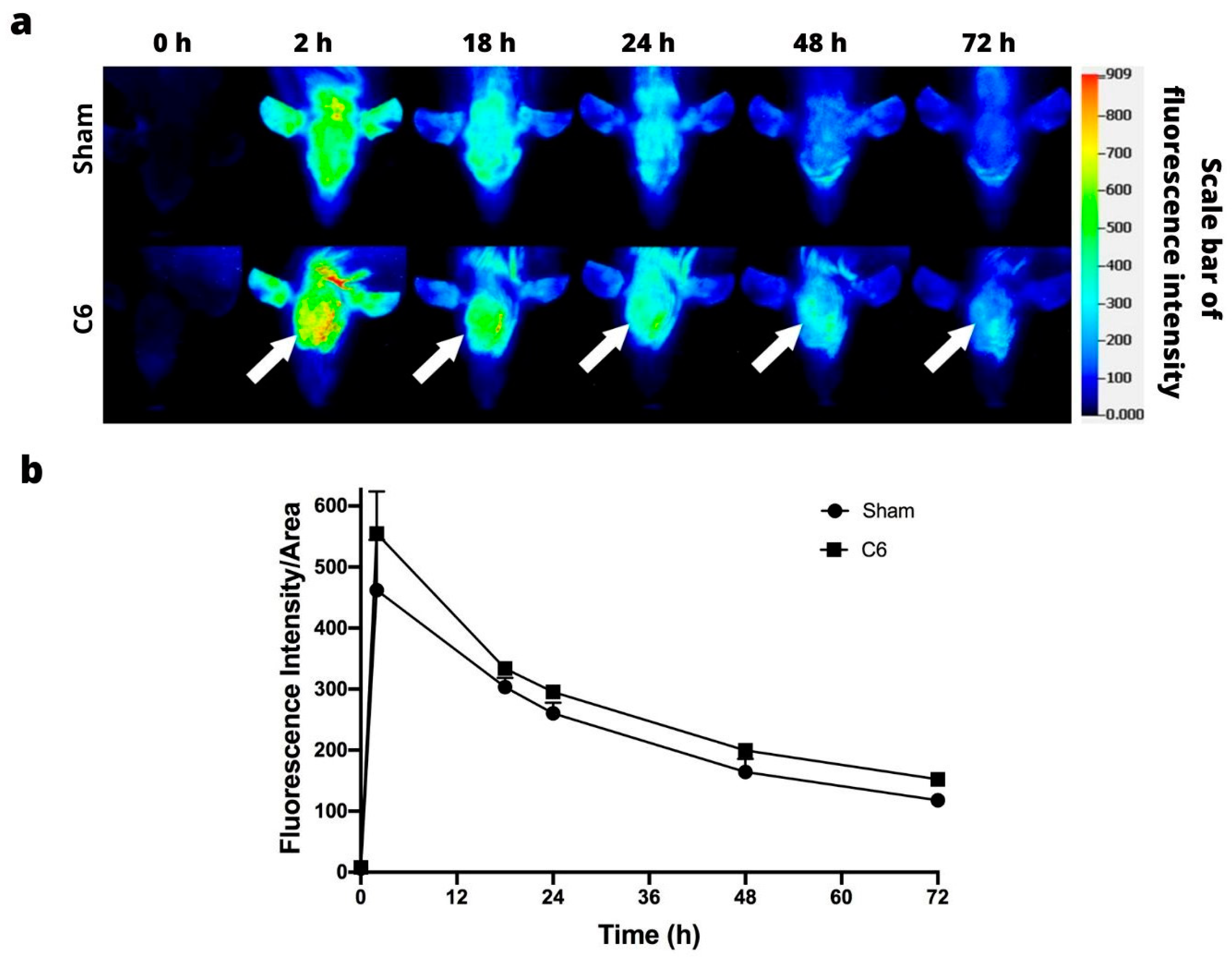 Jimaging 09 00212 g006