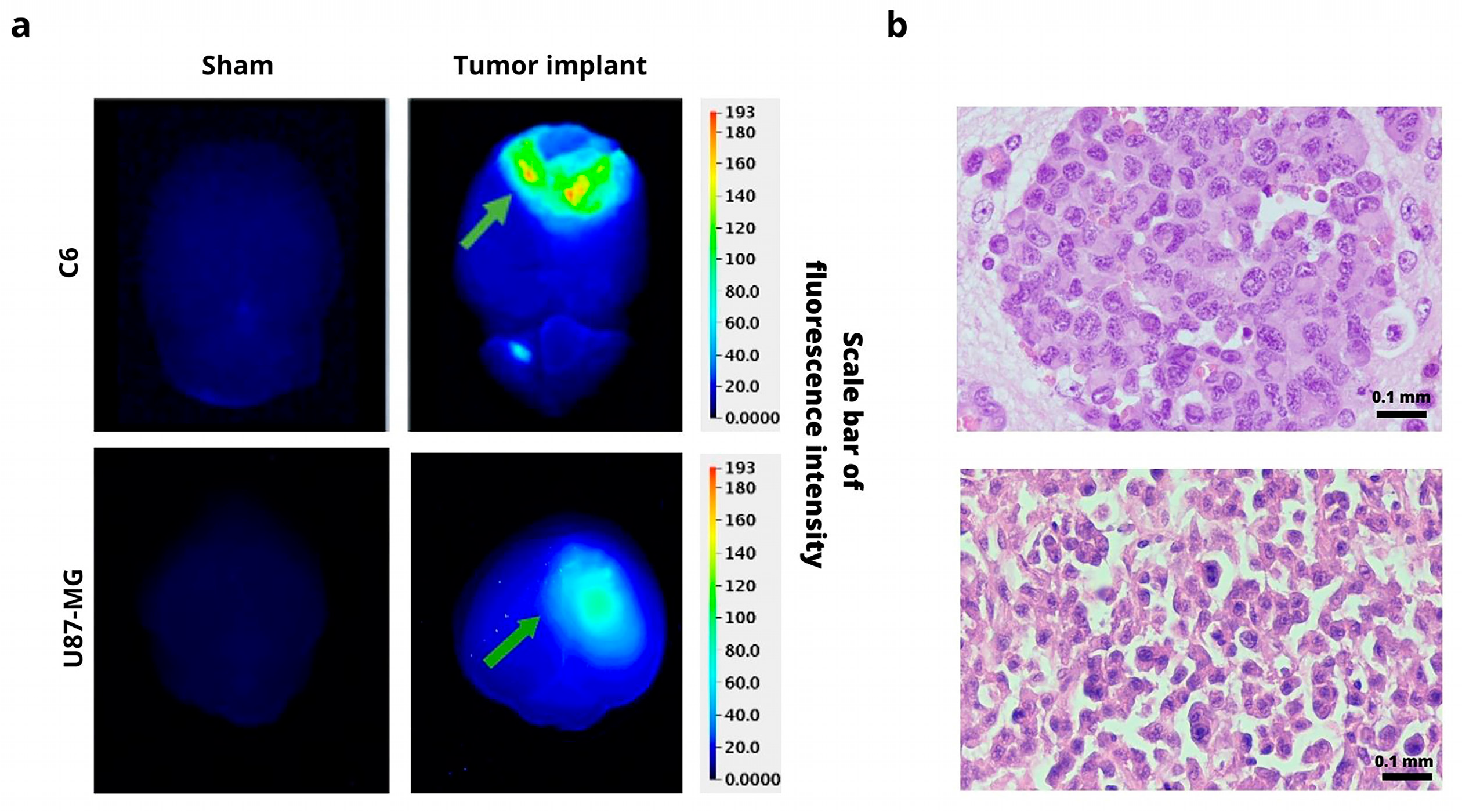 Jimaging 09 00212 g007