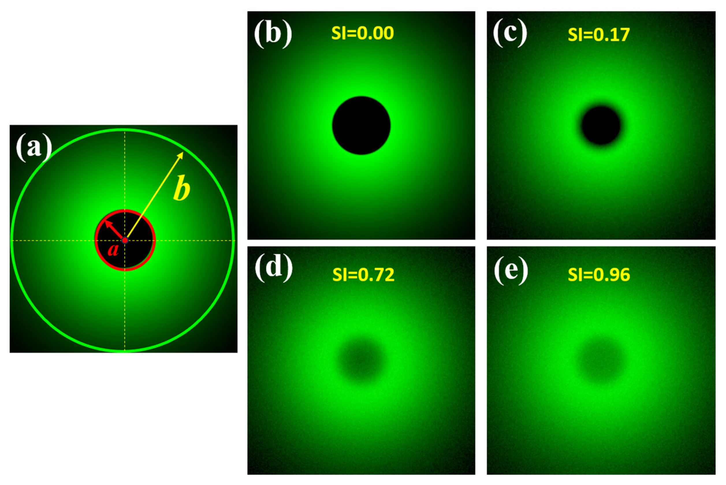 Jimaging 10 00089 g002 Jimaging 10 00089 g002
