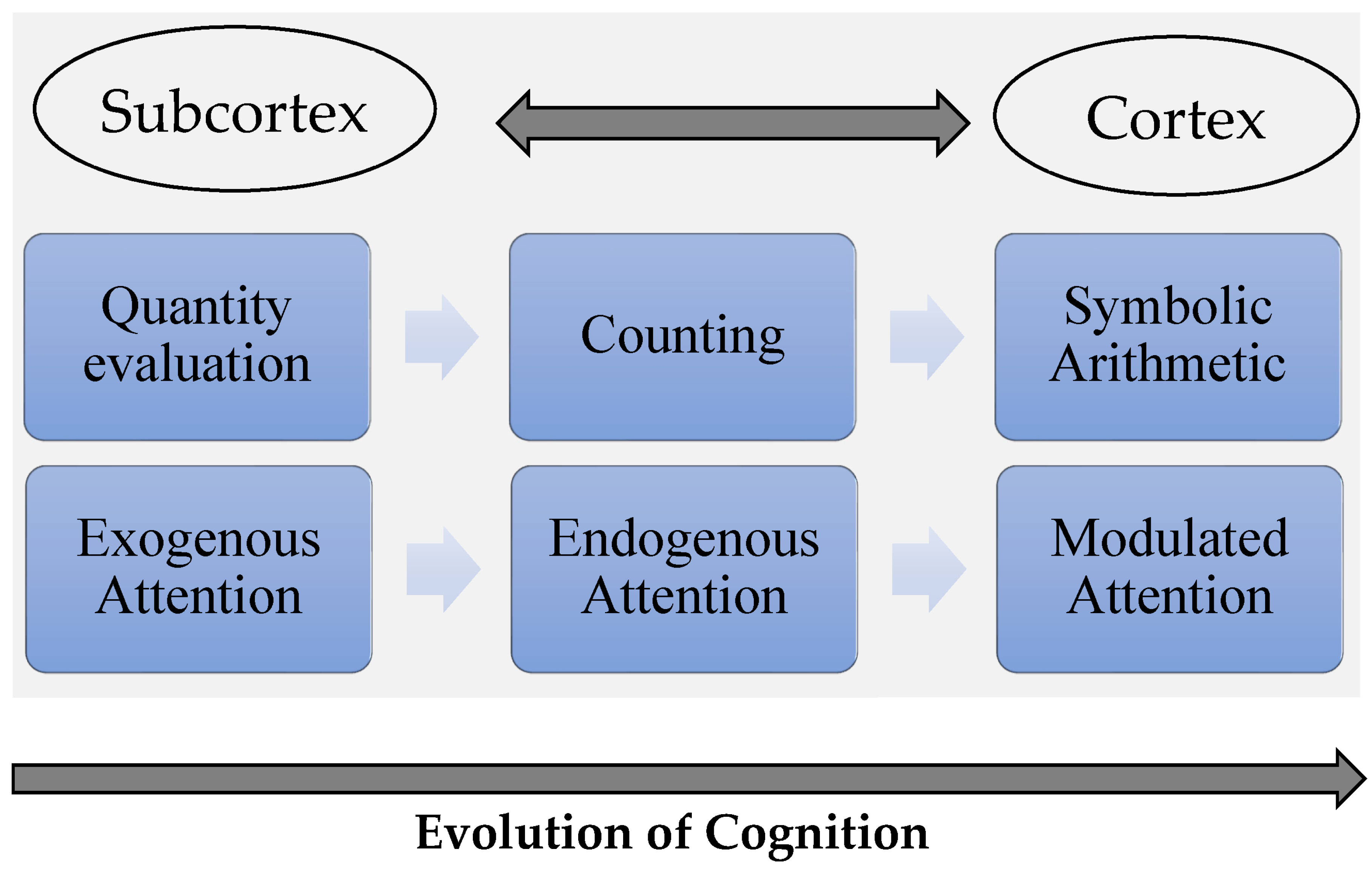 Jintelligence 11 00121 g002
