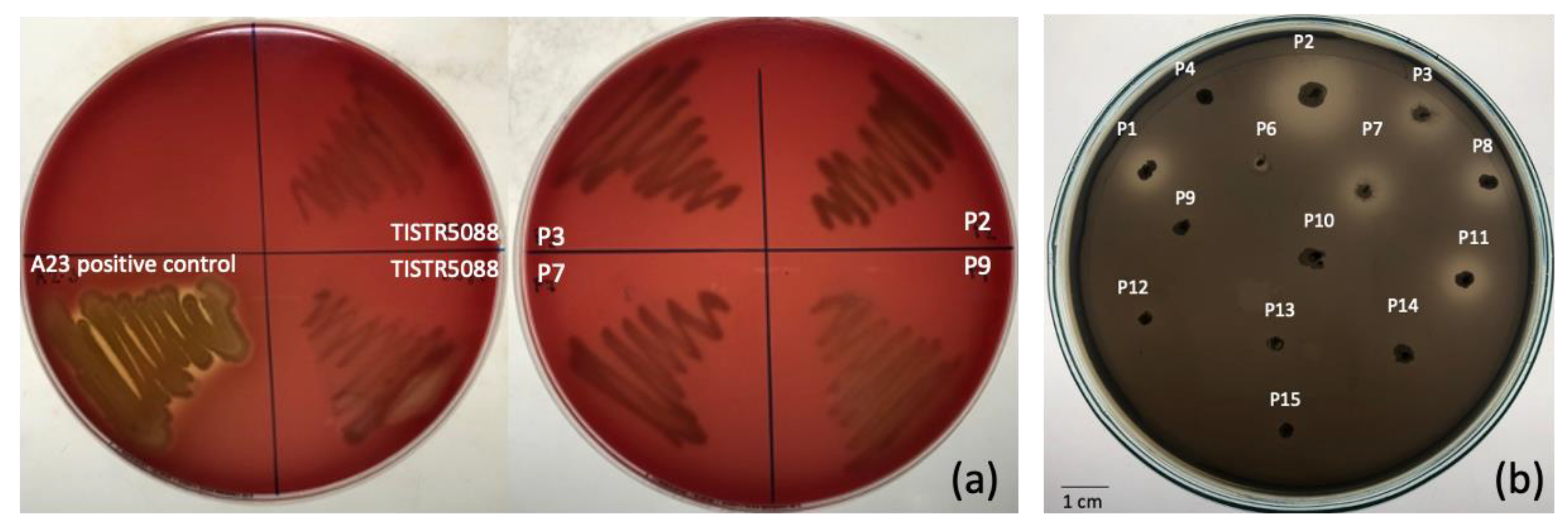 Jof 09 00165 g002 Jof 09 00165 g002