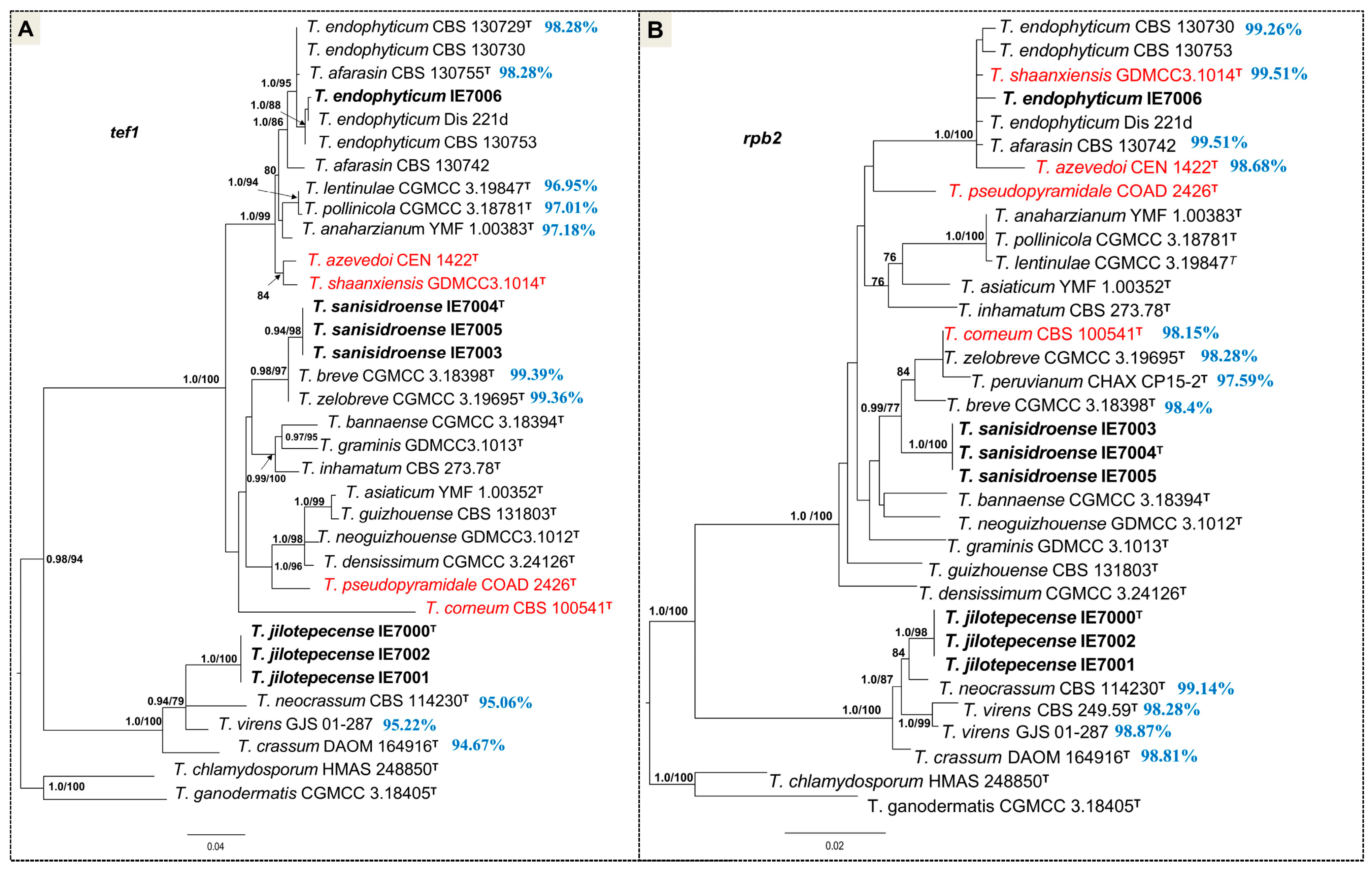 Jof 11 00856 g002 Jof 11 00856 g002