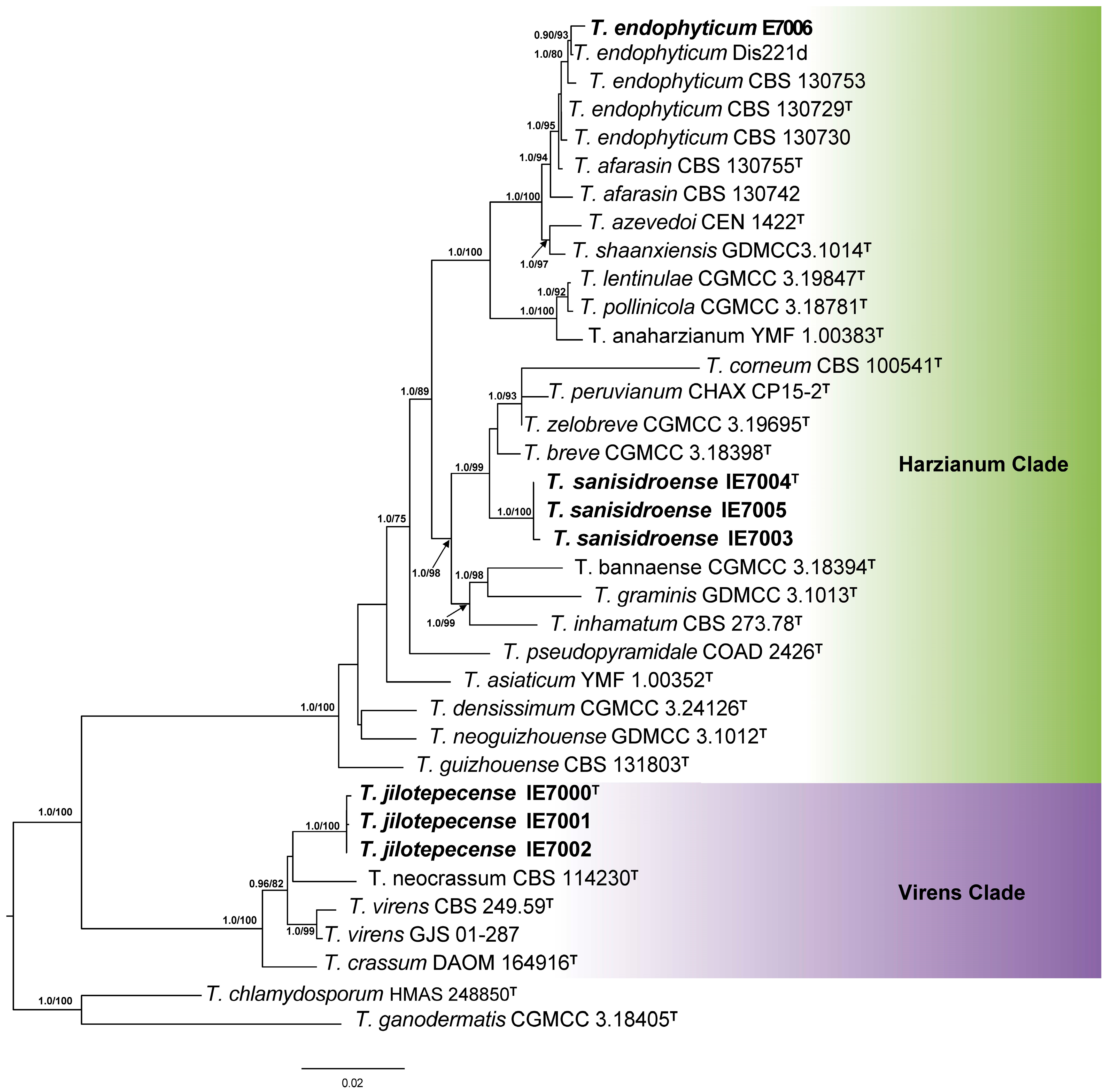 Jof 11 00856 g003 Jof 11 00856 g003