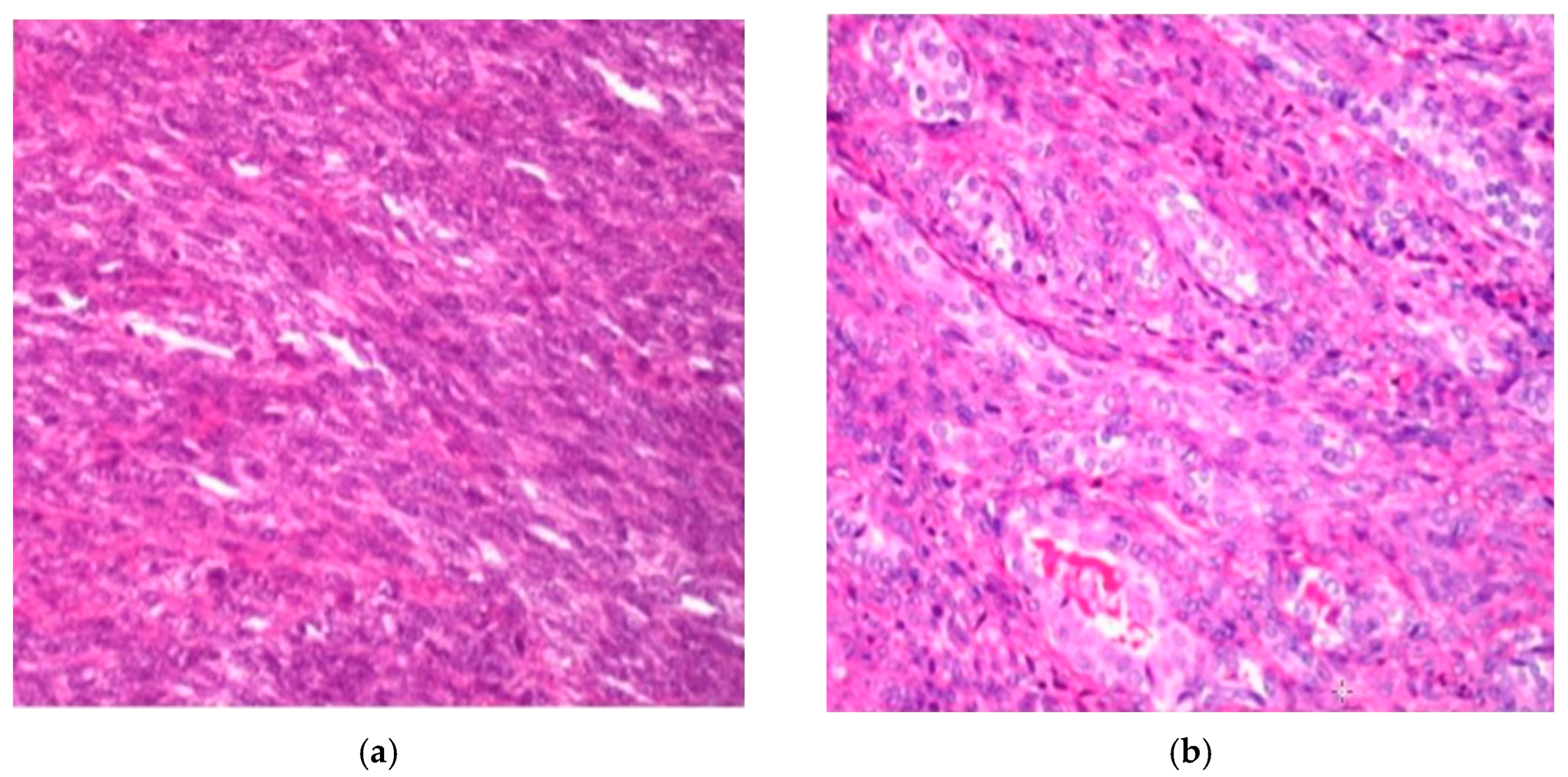 Jpm 15 00455 g001 Jpm 15 00455 g001