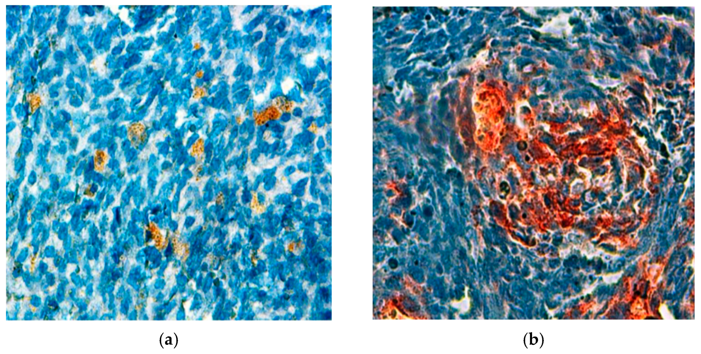 Jpm 15 00455 g003 Jpm 15 00455 g003