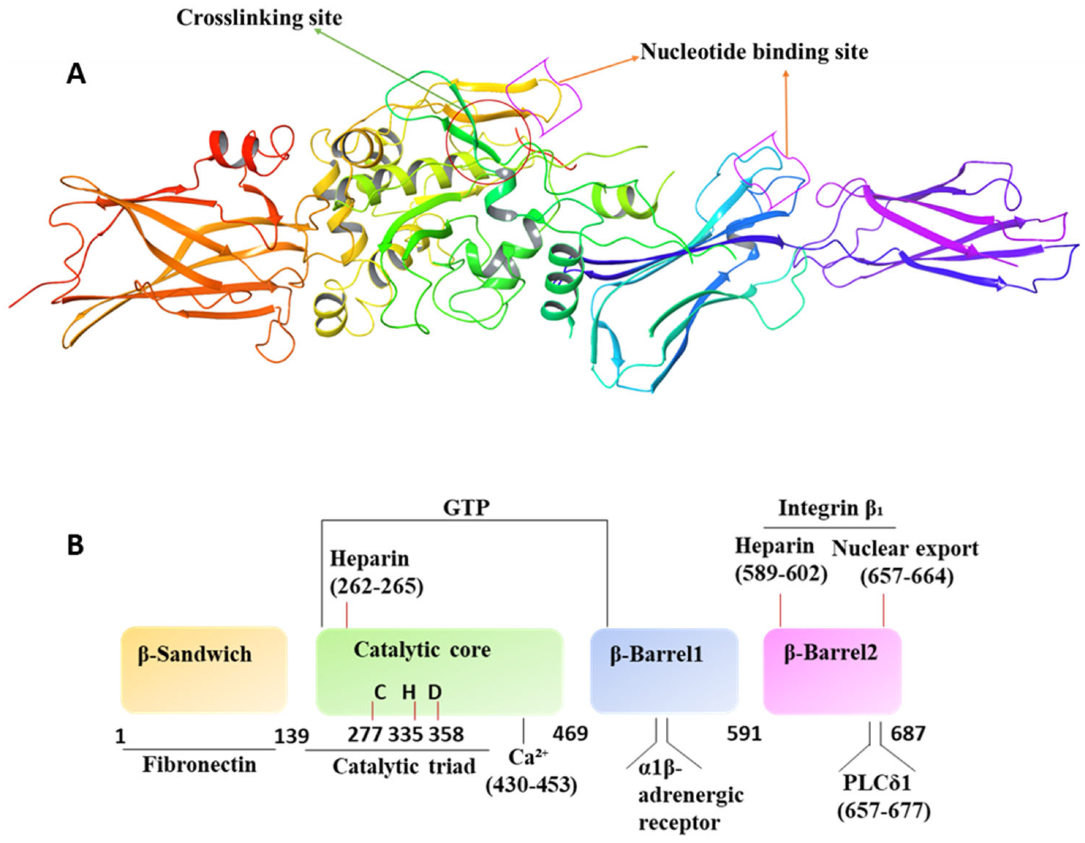Kinasesphosphatases 02 00005 g001