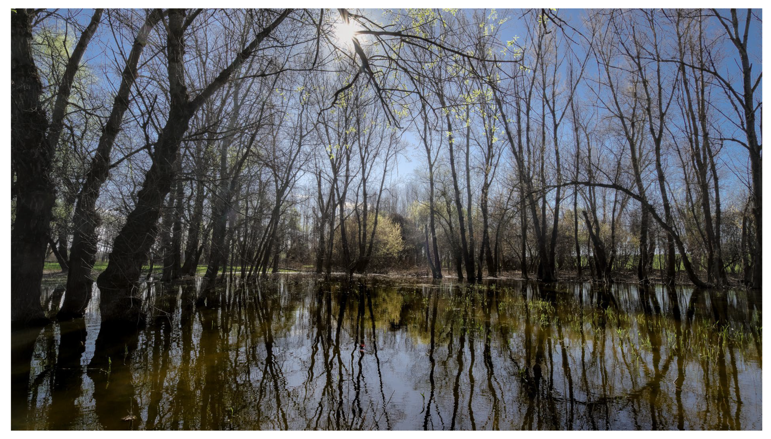 Land 13 00146 g012 Land 13 00146 g012