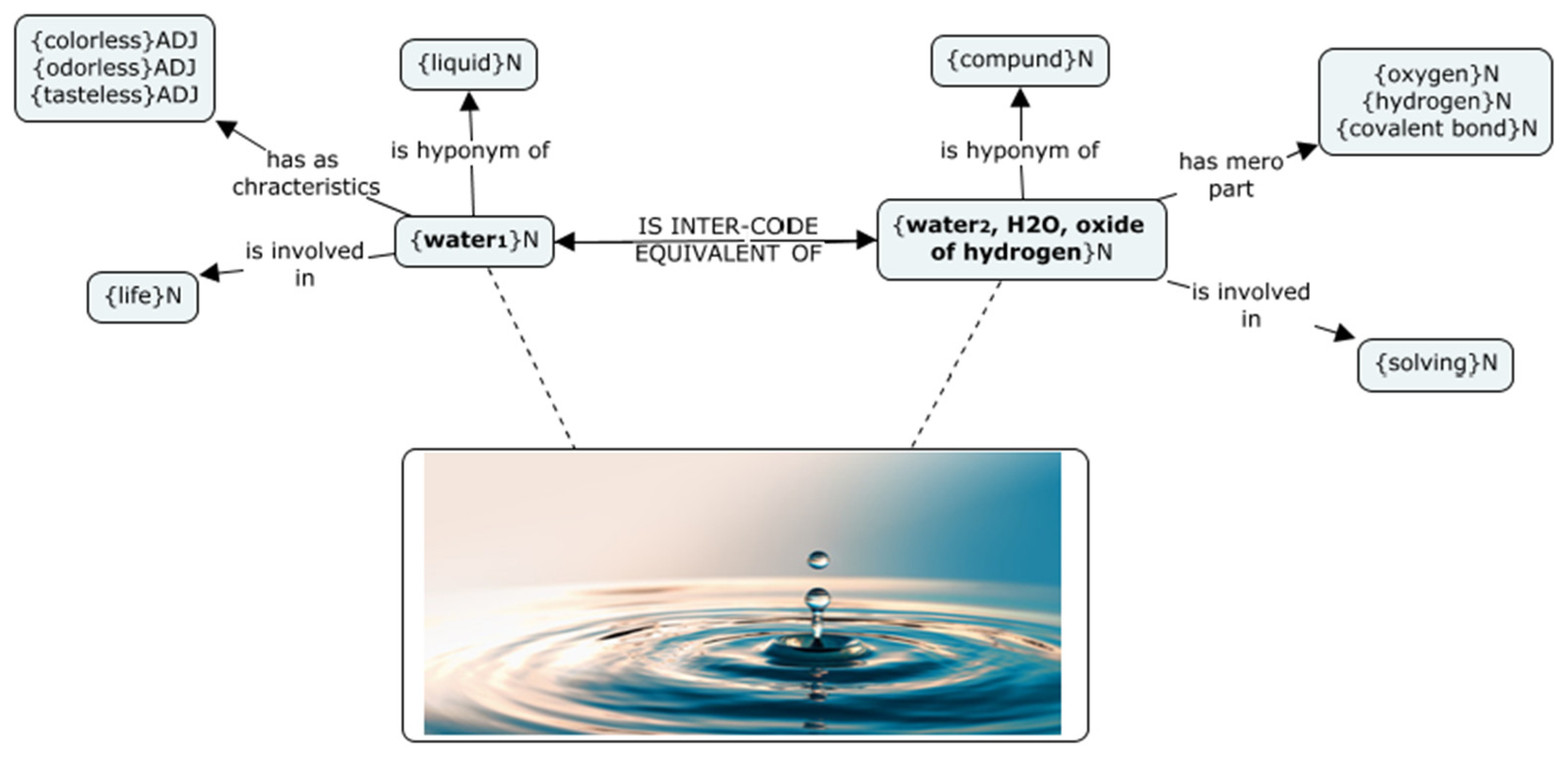 Languages 09 00089 g013