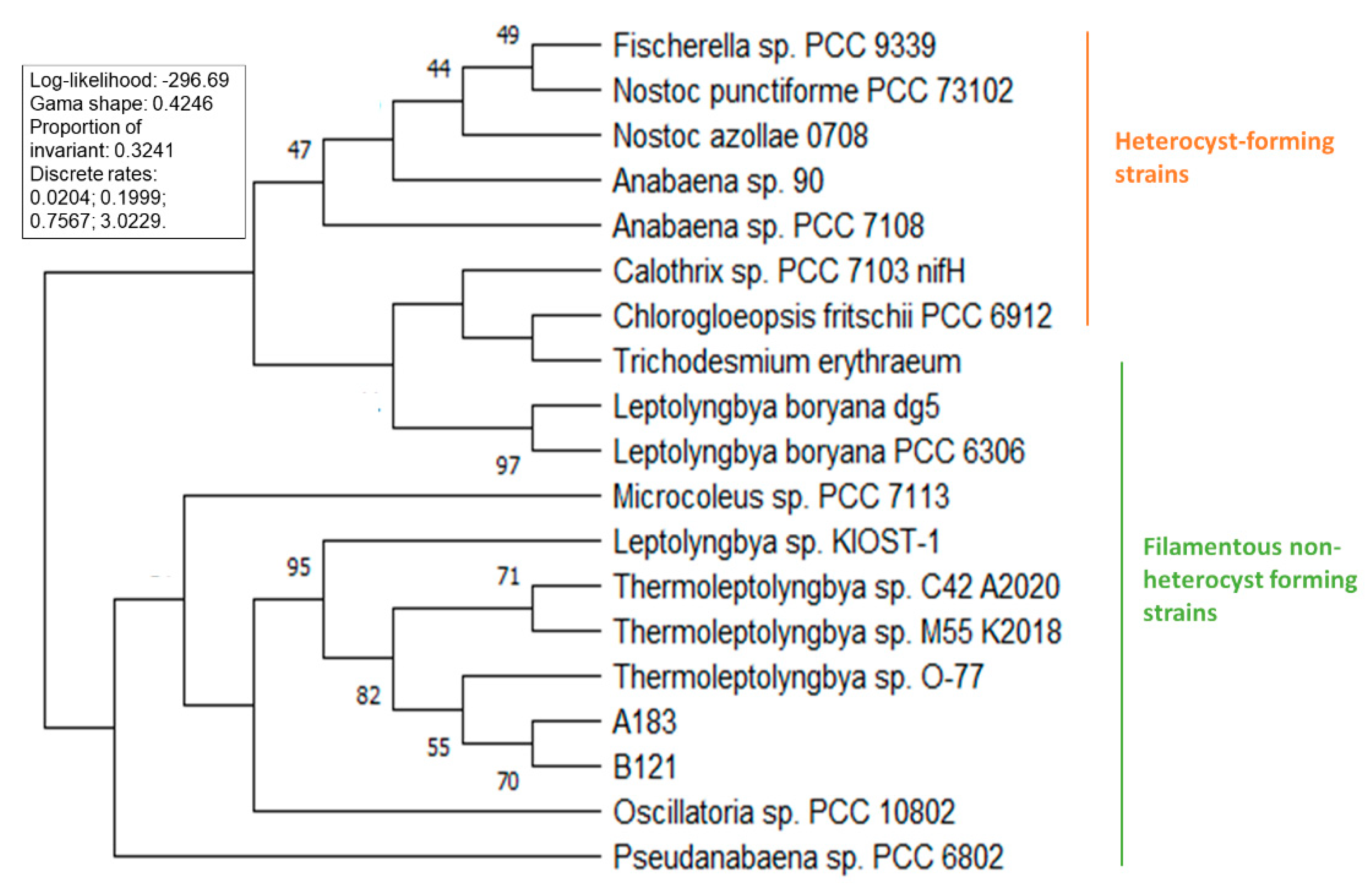 Life Free Full Text Molecular Components Of Nitrogen Fixation Gene