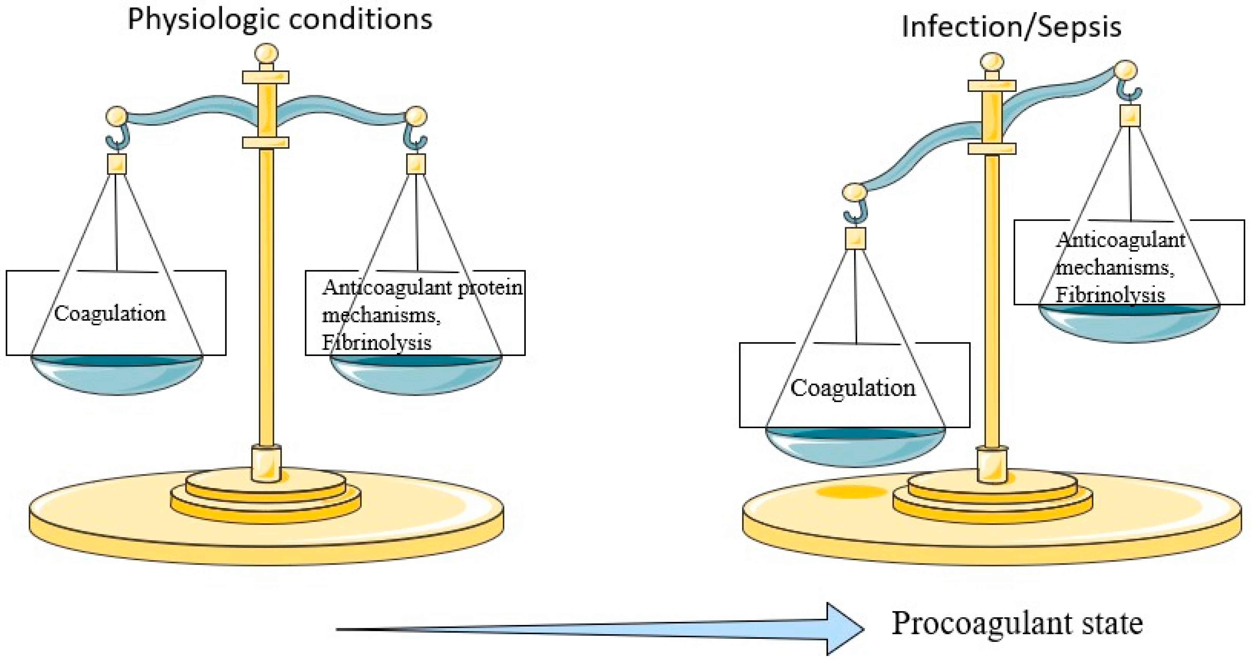 Life Free Full Text Sepsis Induced Coagulopathy An Update On