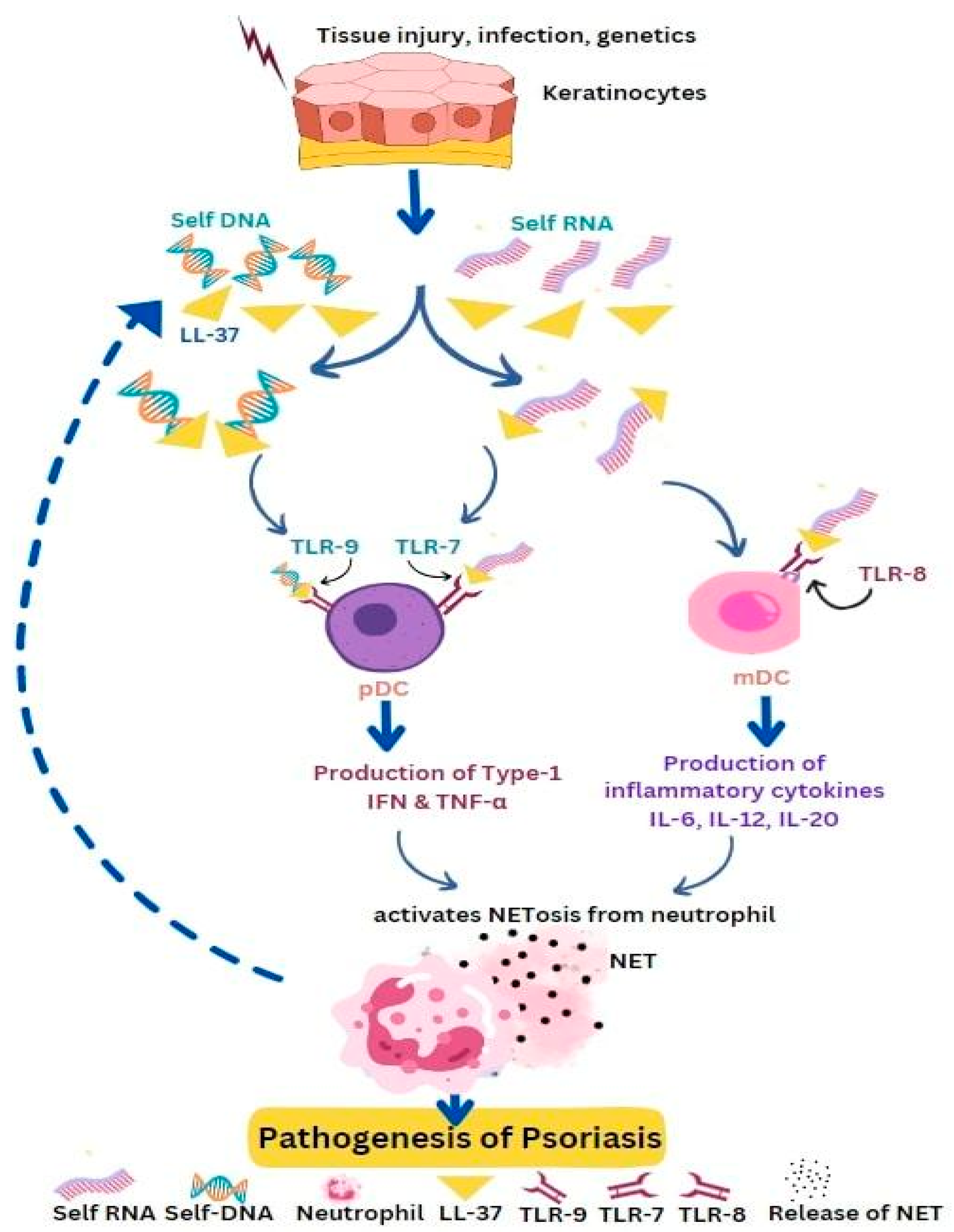 Life 13 01307 g004 Life 13 01307 g004