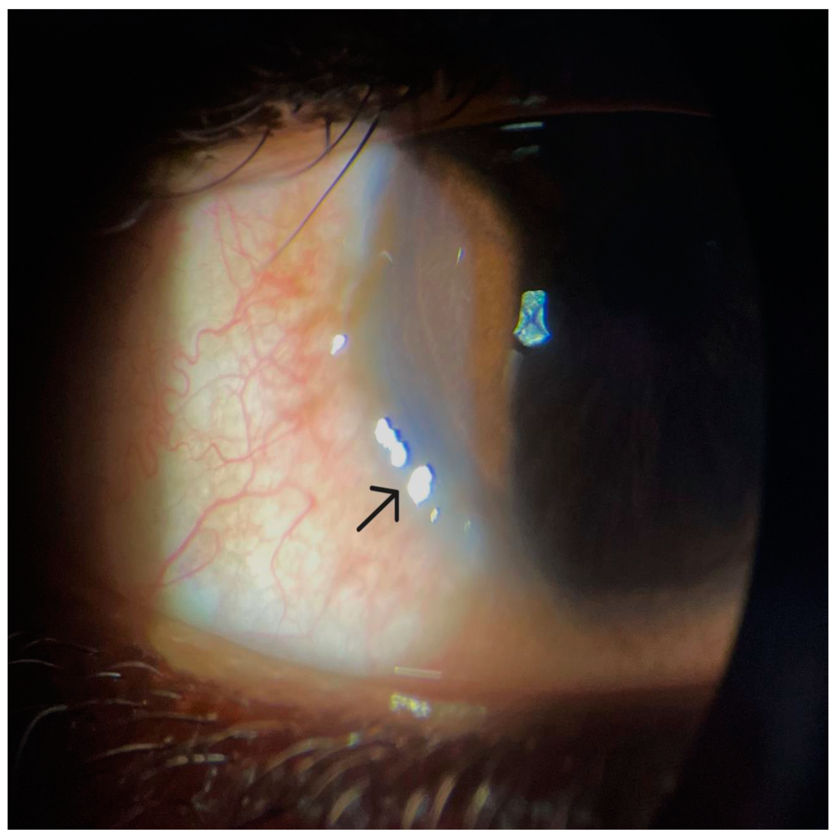 Life 14 00361 g001 Life 14 00361 g001