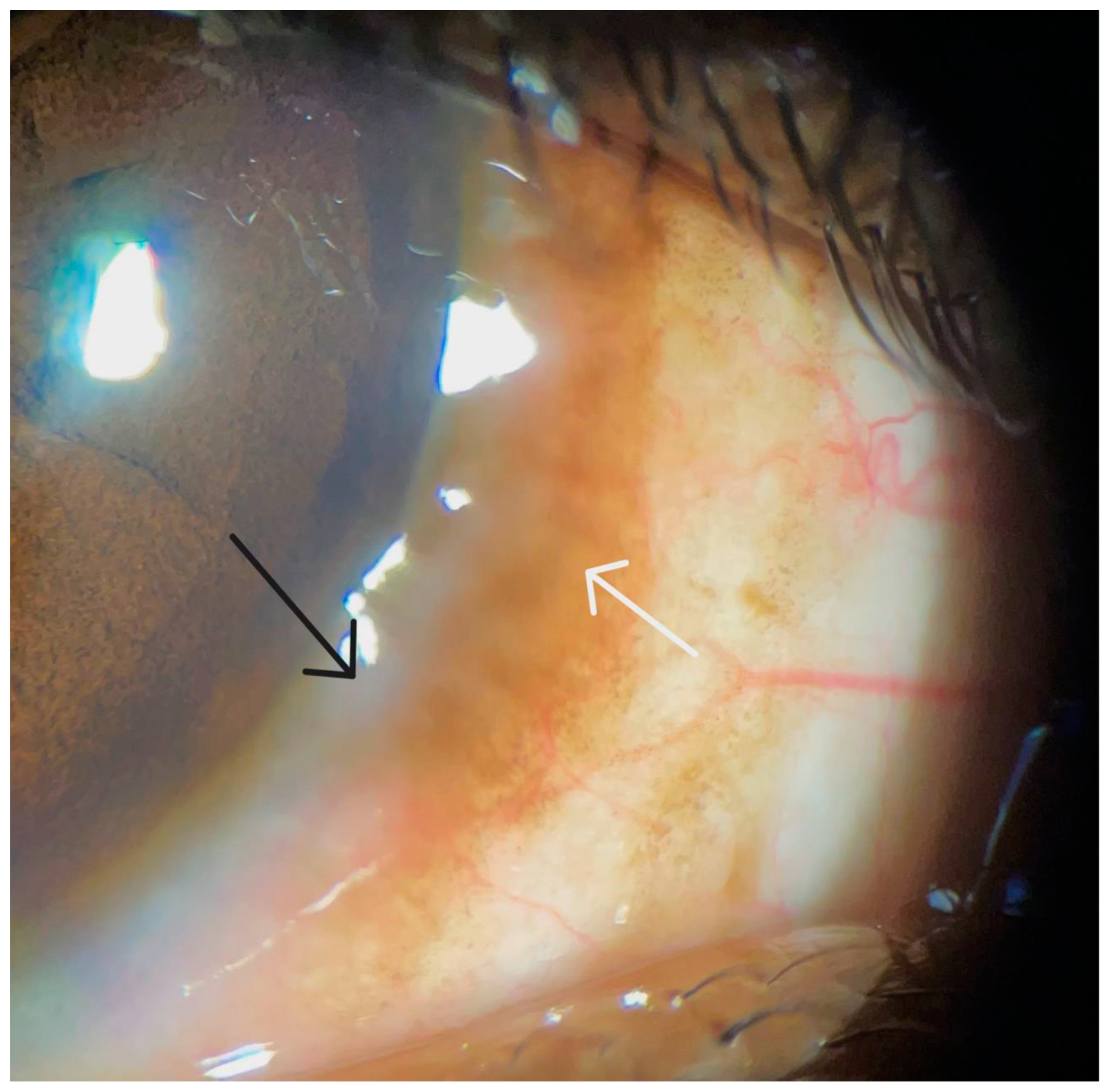 Life 14 00361 g002 Life 14 00361 g002