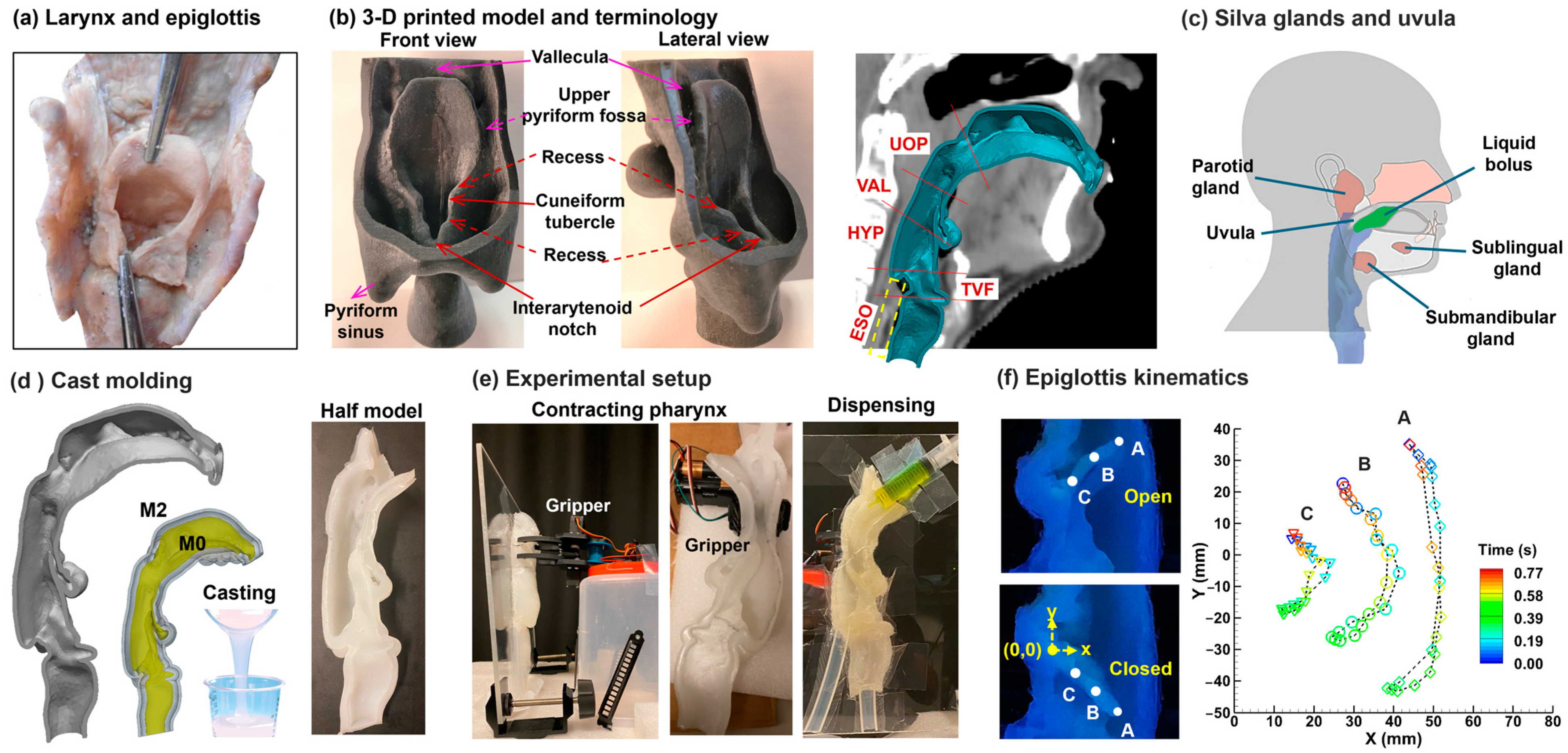 Liquids 04 00022 g001