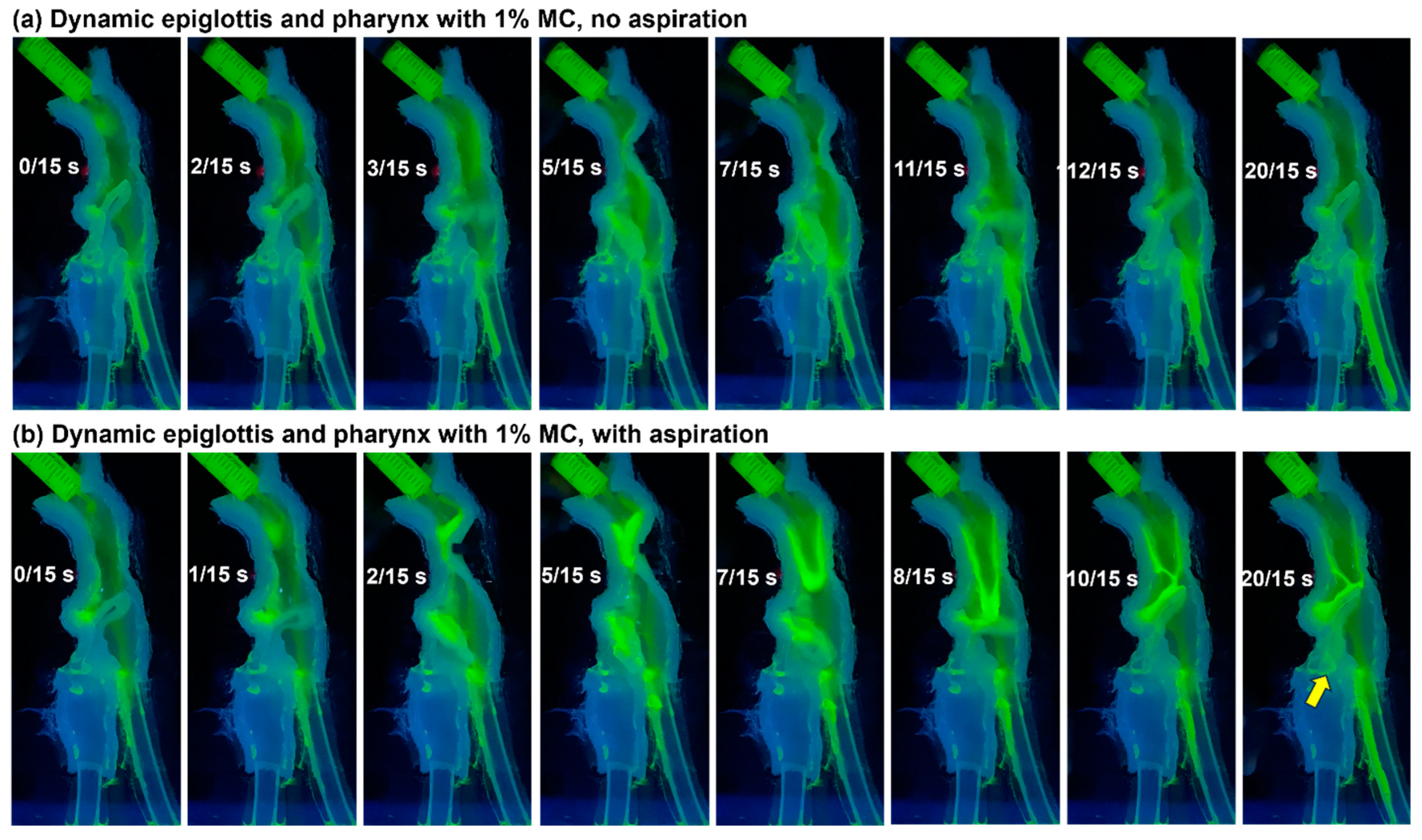 Liquids 04 00022 g003