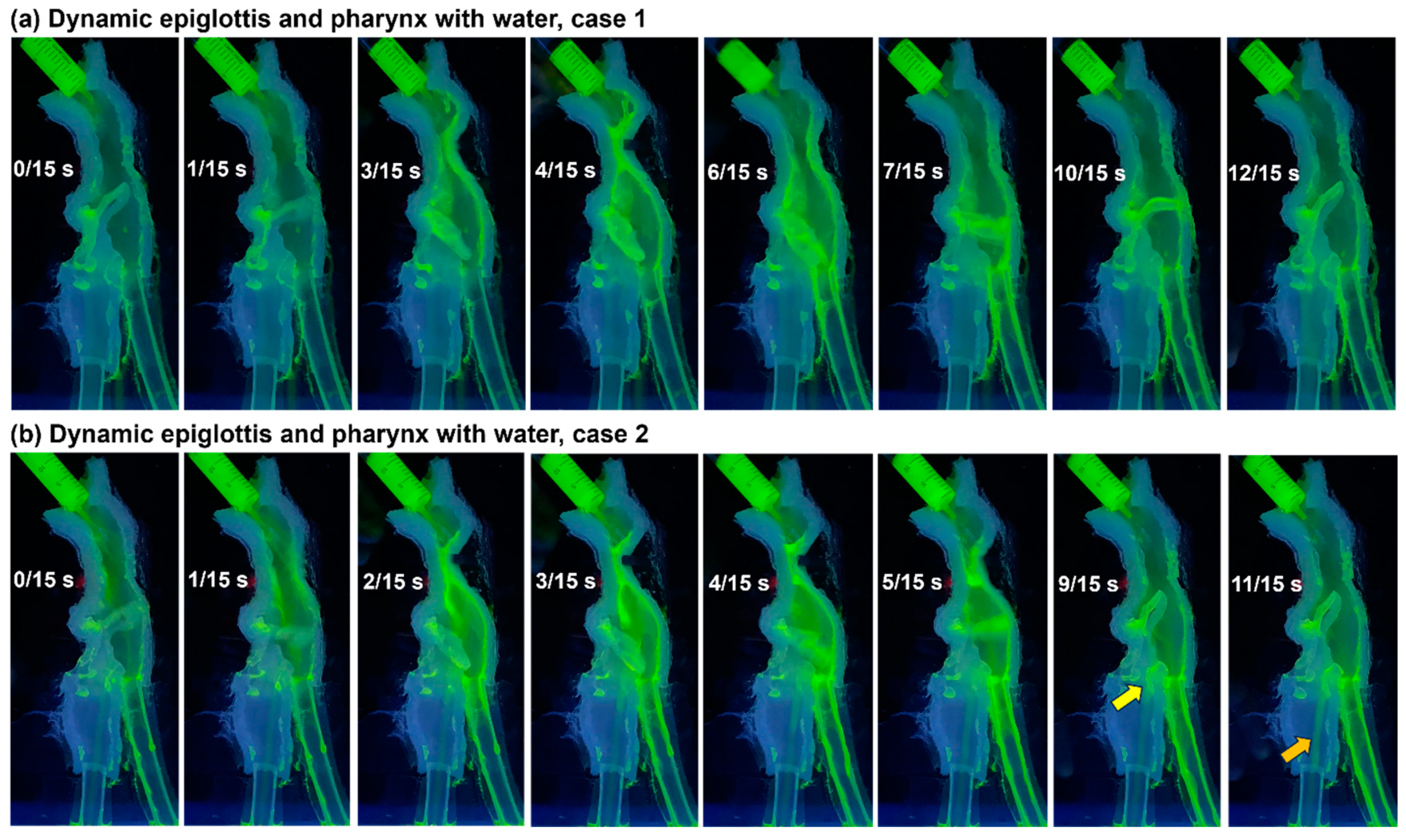 Liquids 04 00022 g004