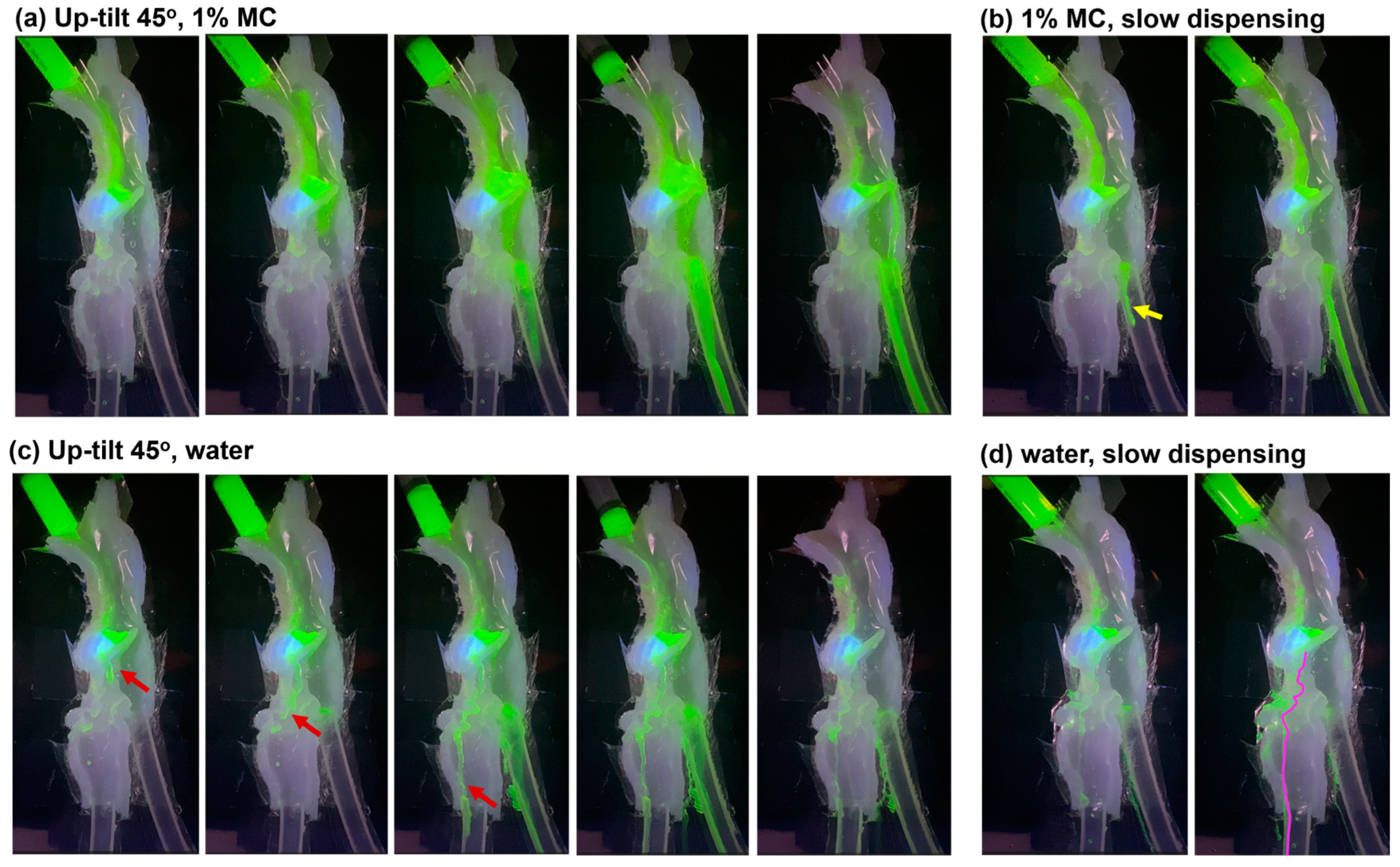 Liquids 04 00022 g006