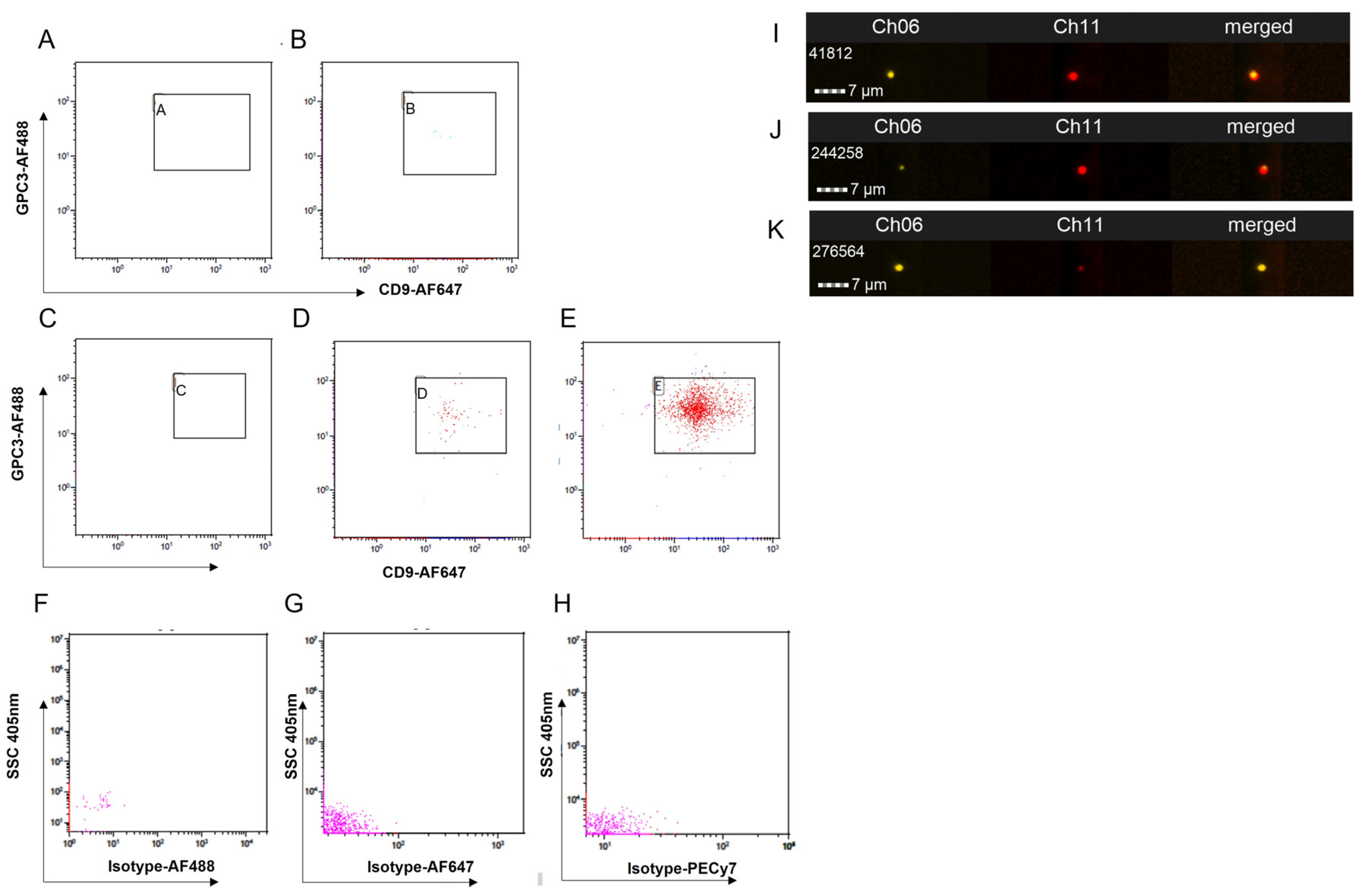 Livers 03 00047 g003