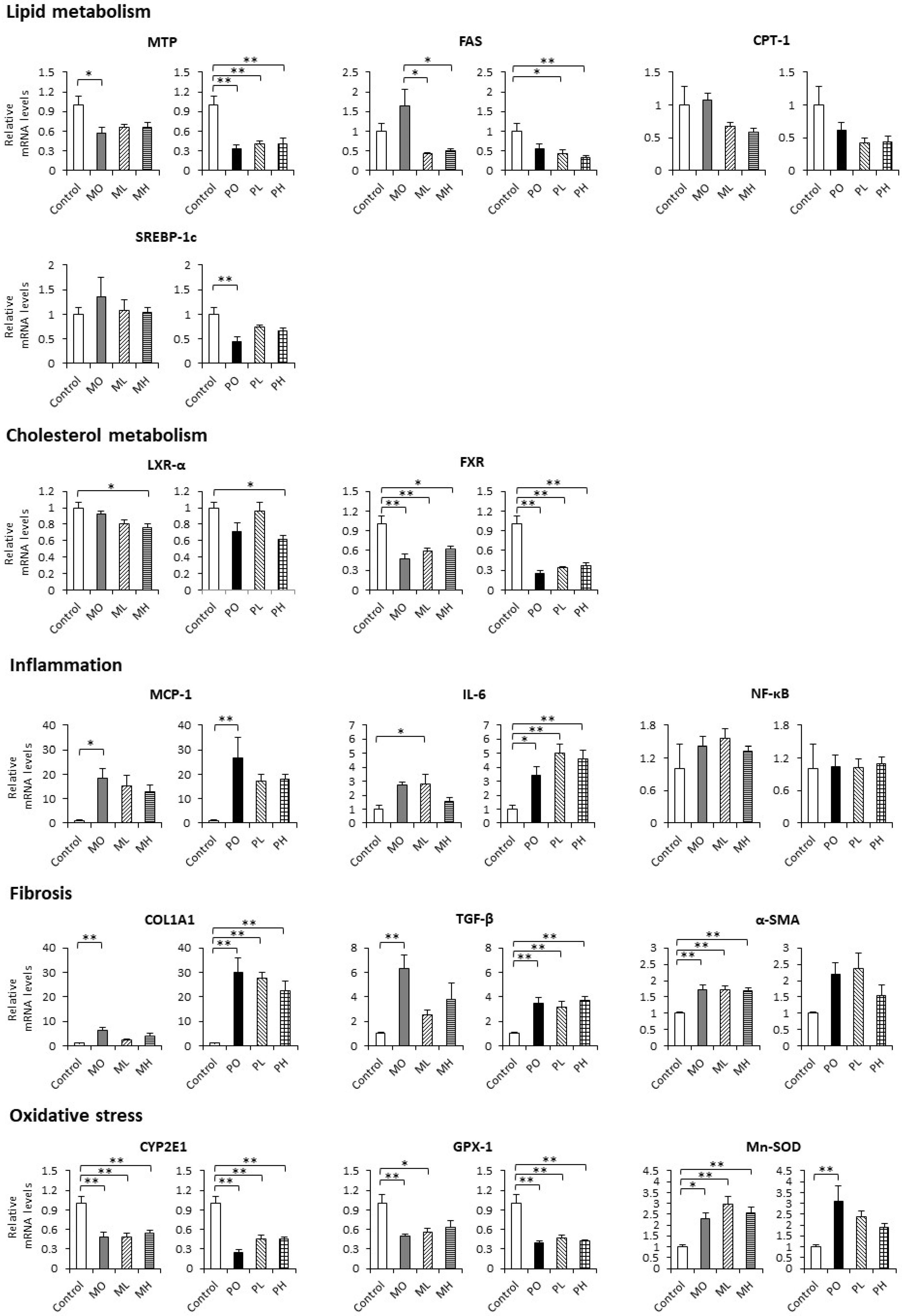 Livers 04 00015 g004