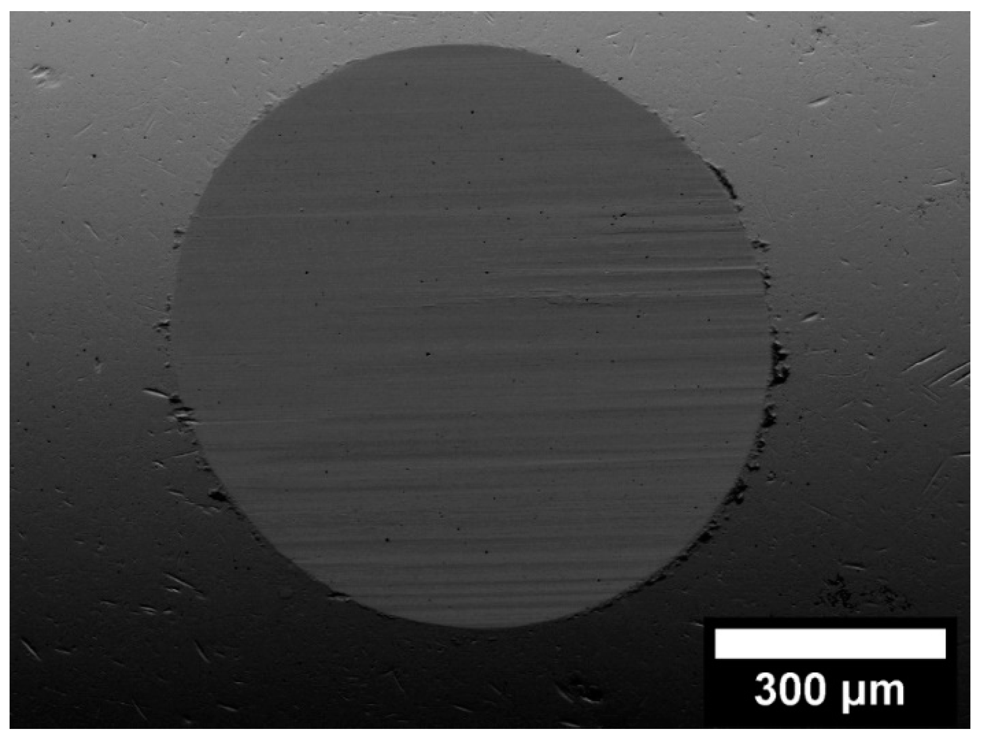 Lubricants 10 00042 g005