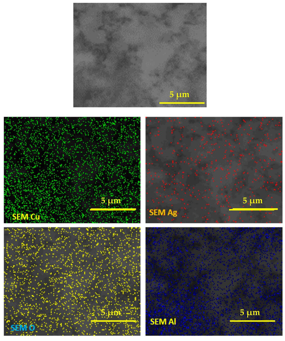 Lubricants 10 00277 g006