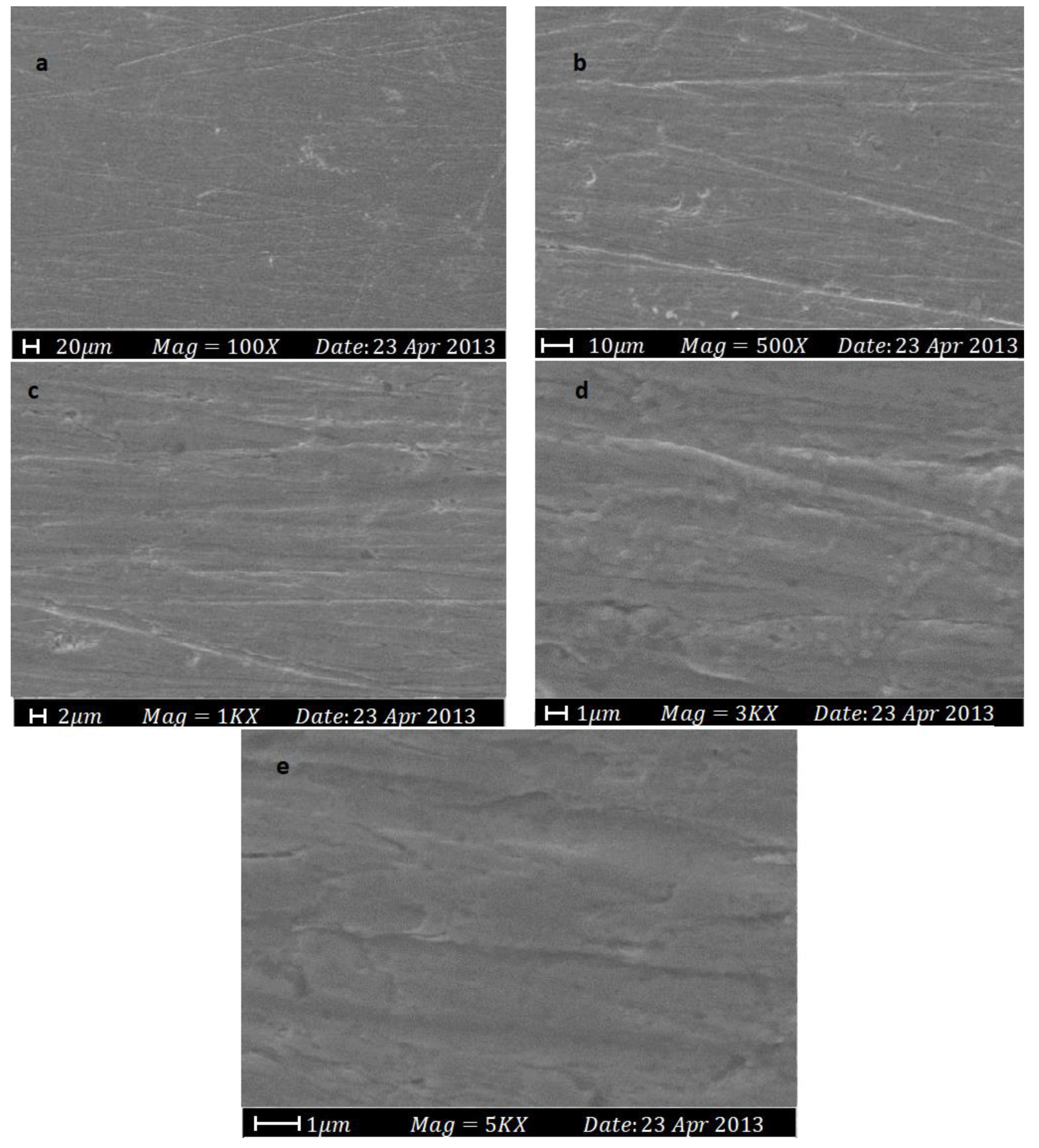 Lubricants 11 00174 g008