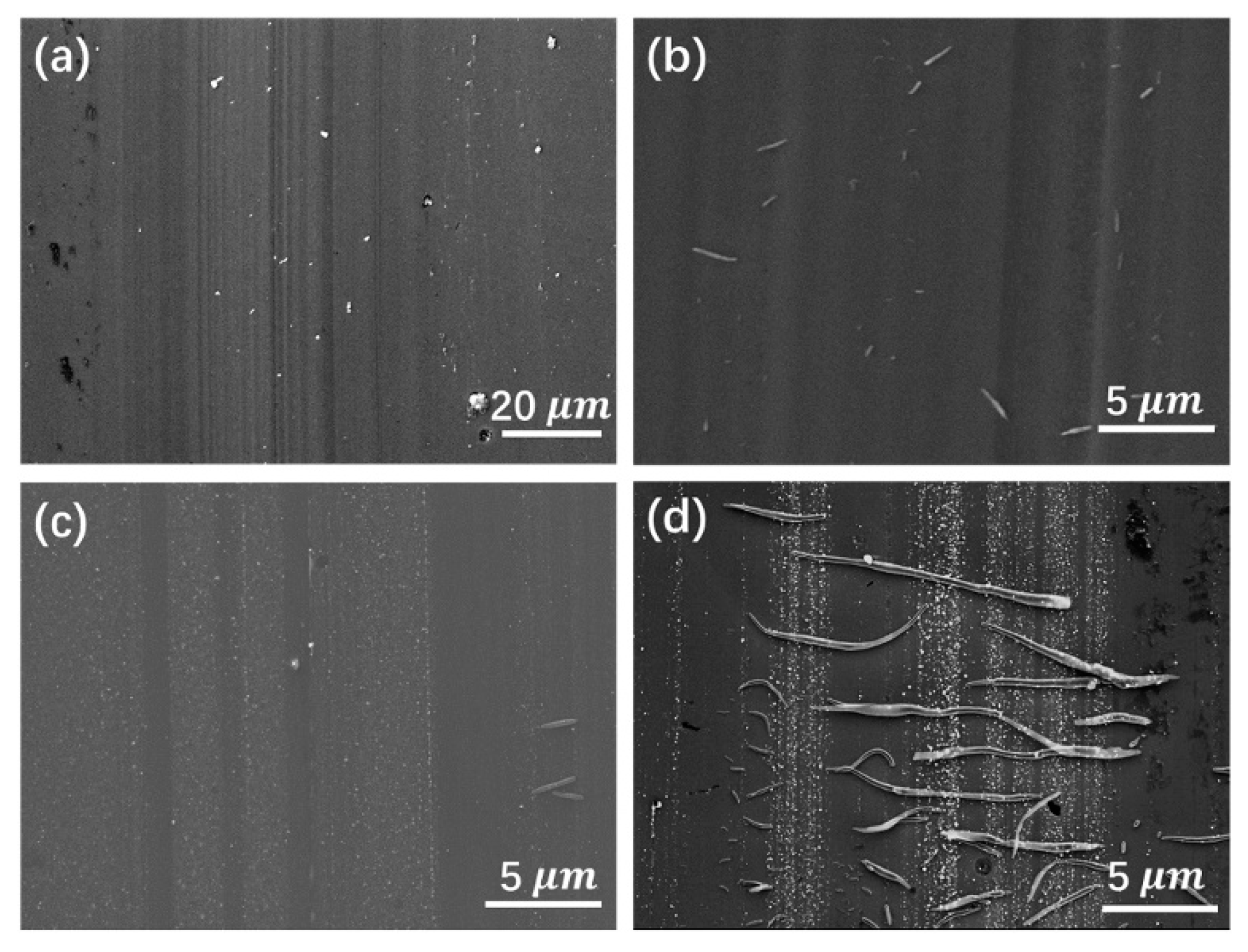Lubricants 11 00186 g015