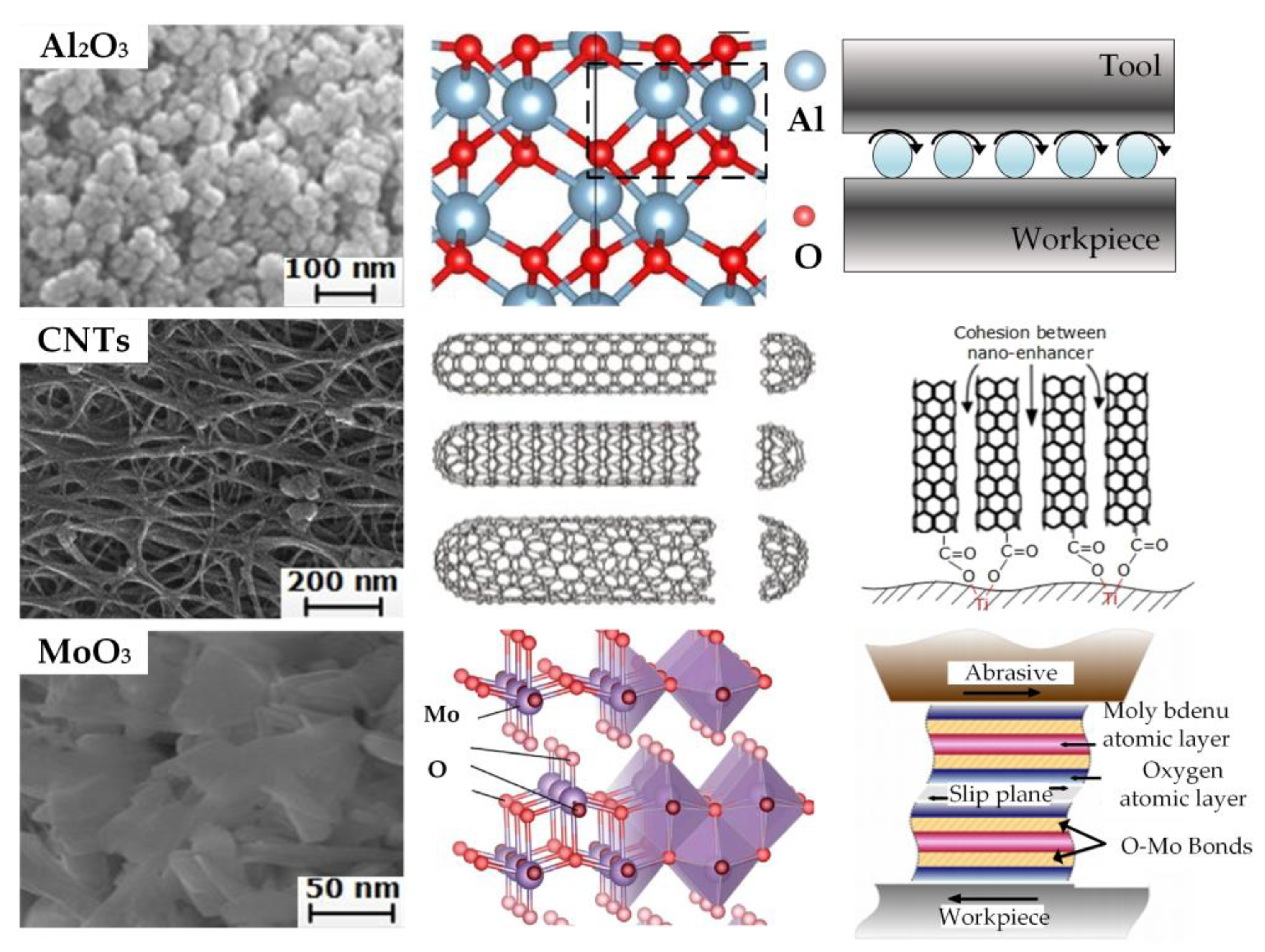 Lubricants 11 00422 g006