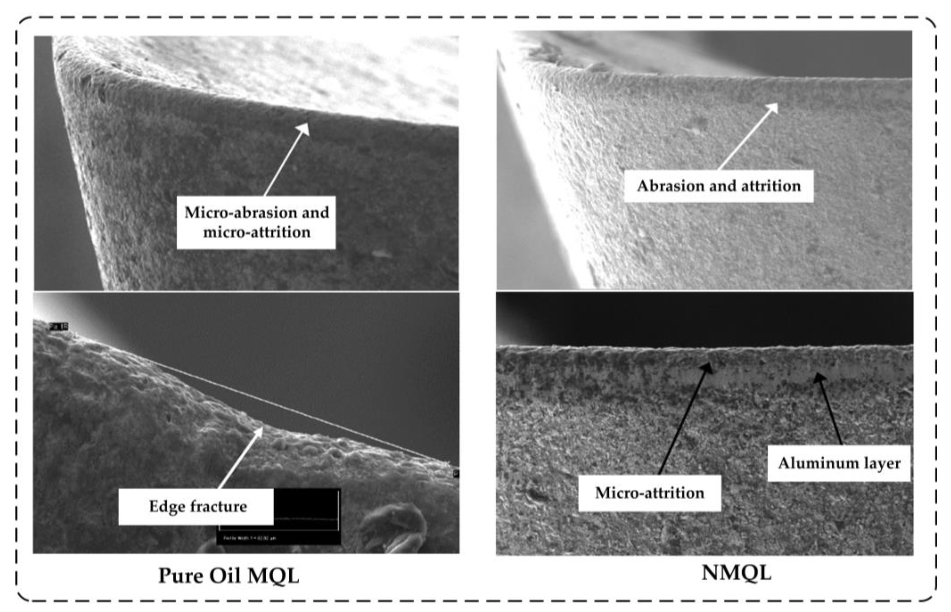 Lubricants 11 00422 g020
