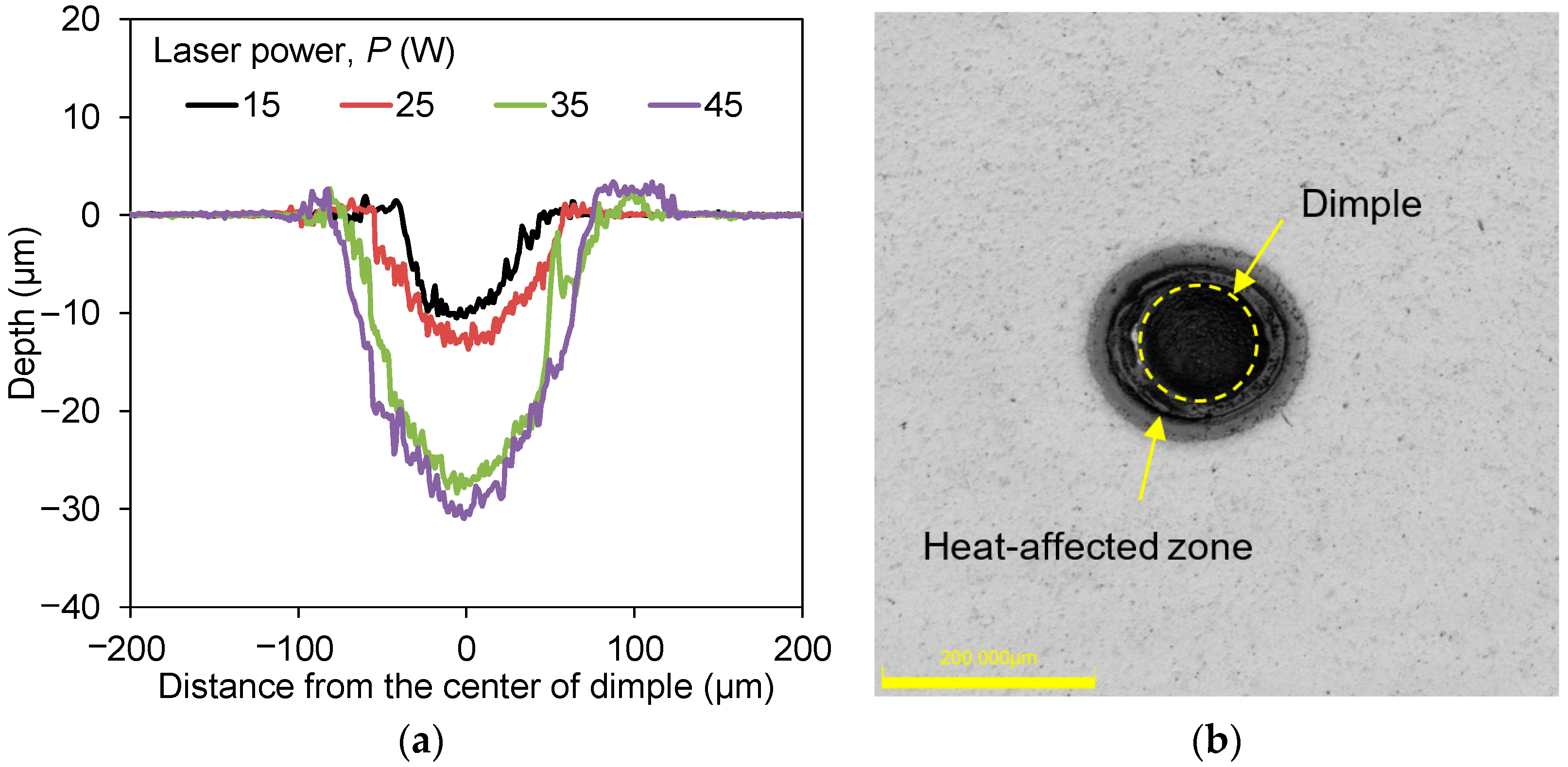 Lubricants 11 00456 g004