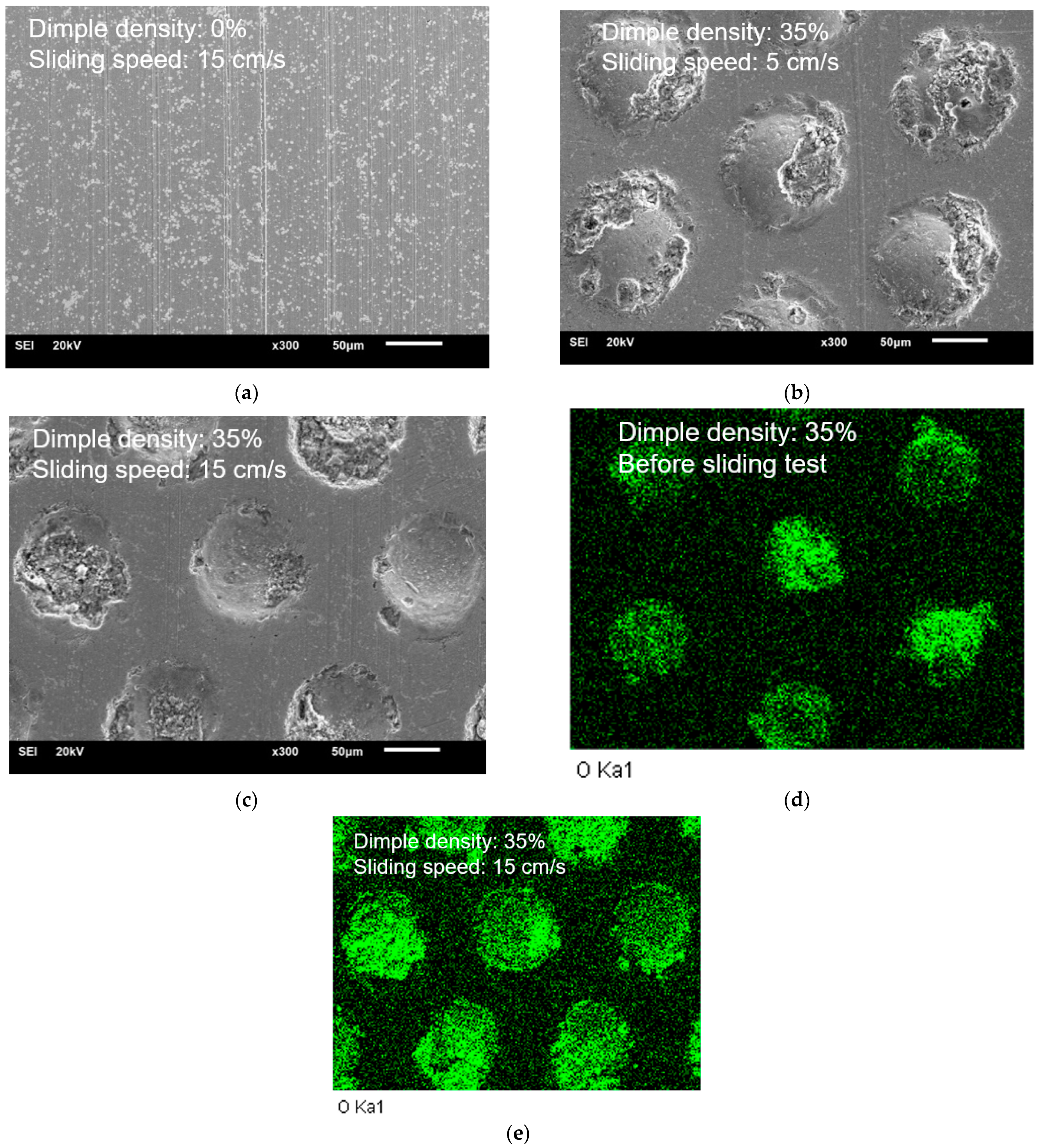 Lubricants 11 00456 g010