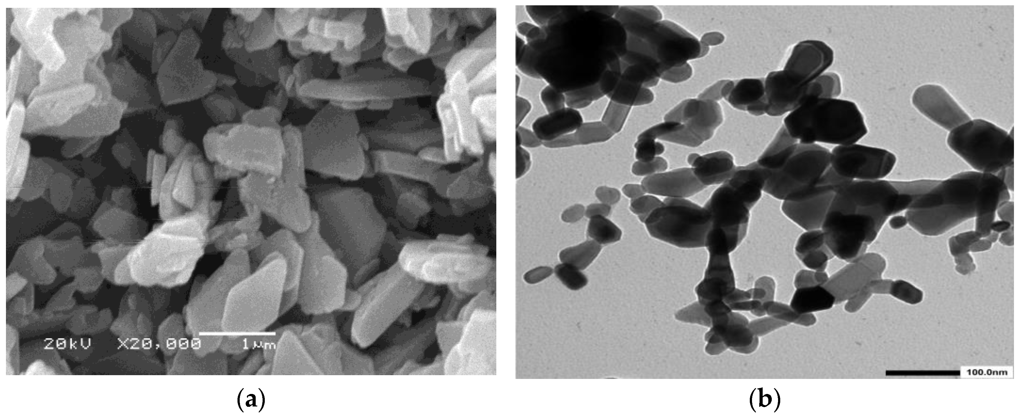 Lubricants 11 00479 g005