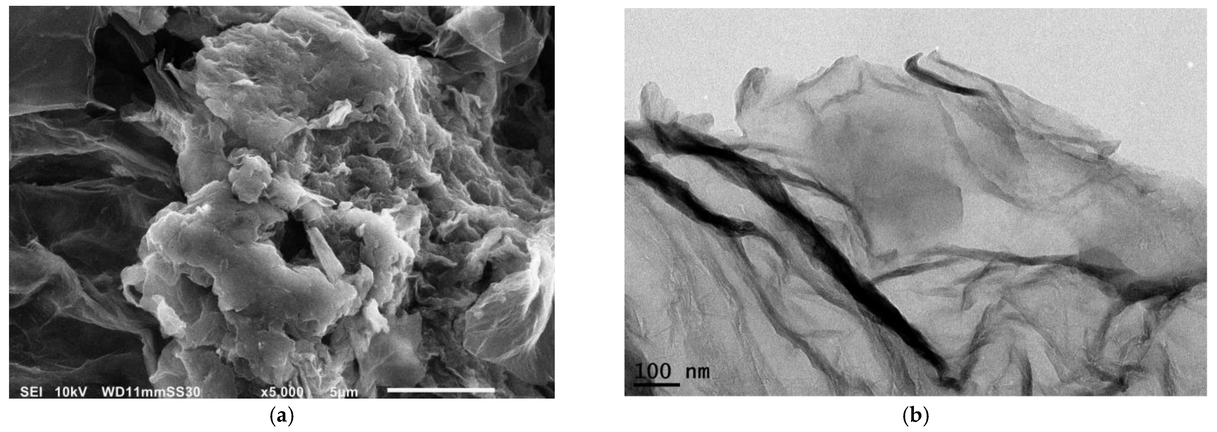 Lubricants 11 00479 g008