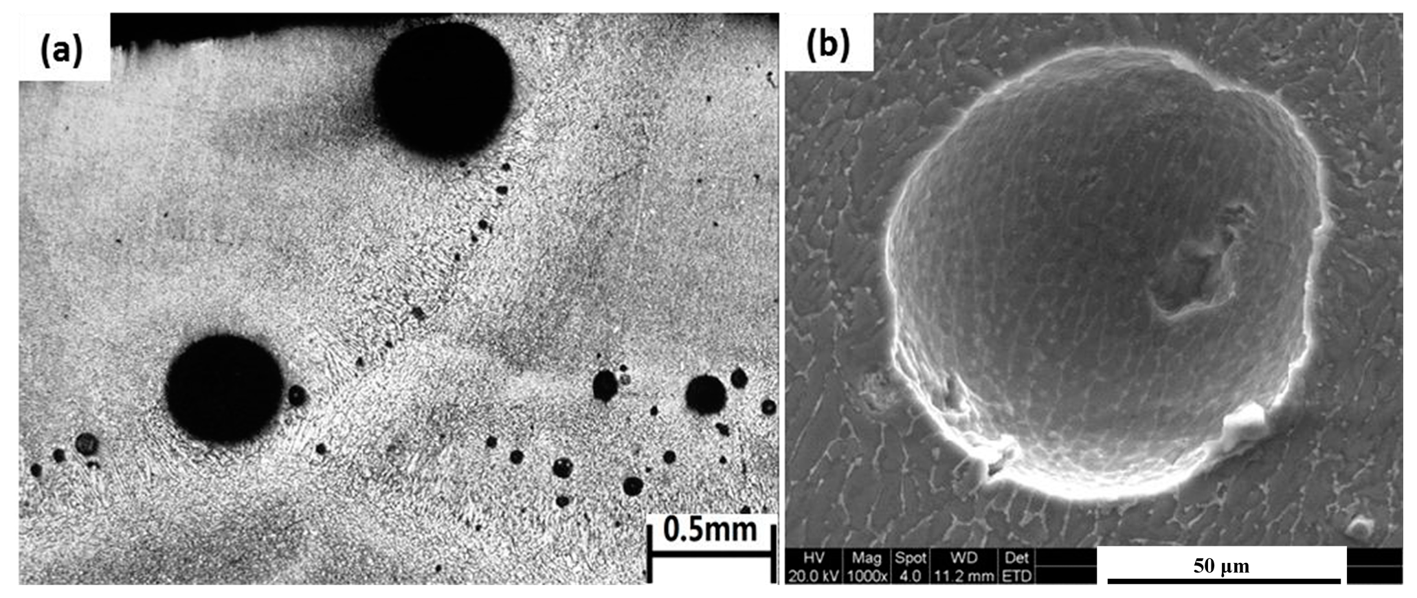 Lubricants 11 00482 g005