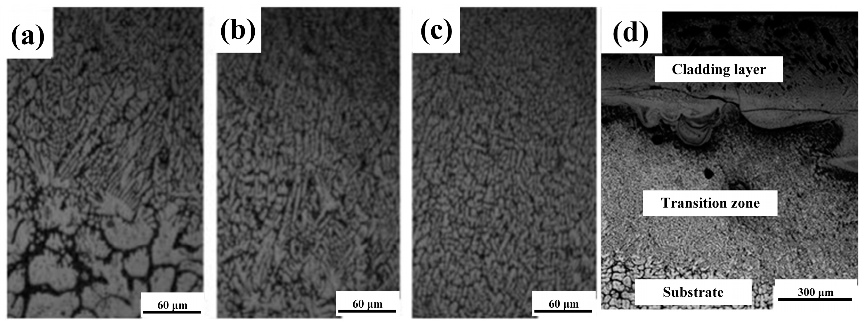 Lubricants 11 00482 g007