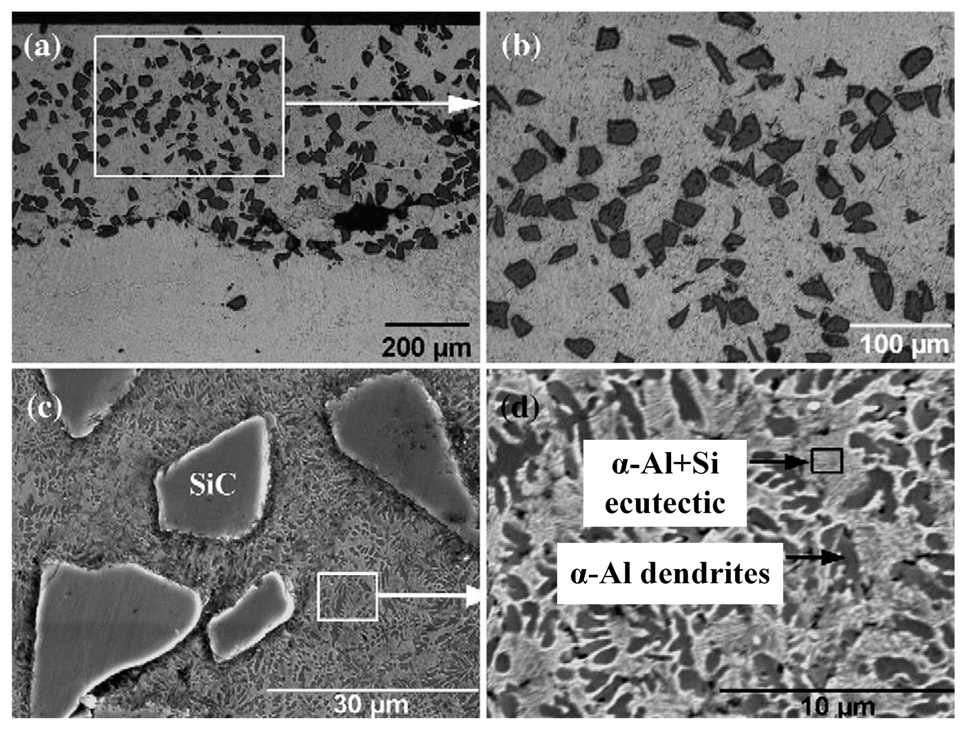Lubricants 11 00482 g011