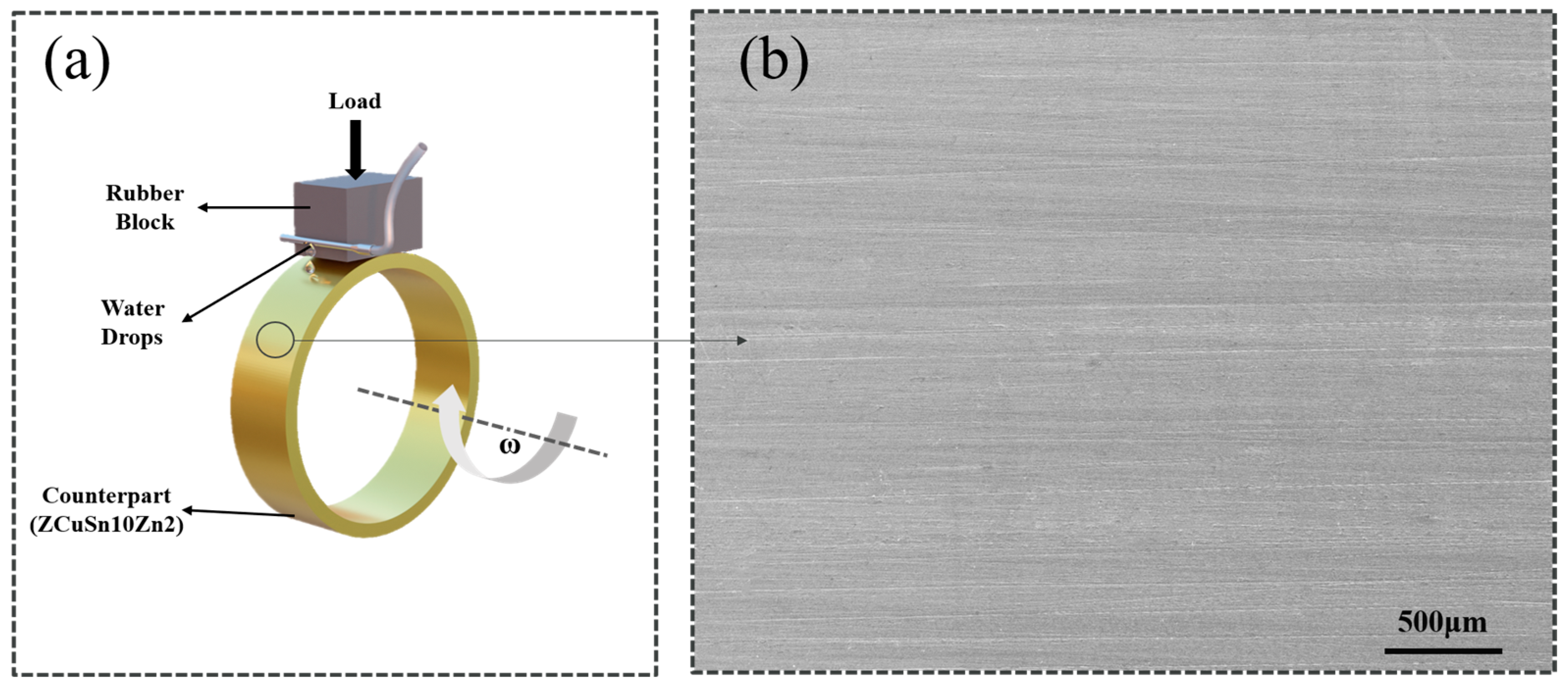Lubricants 11 00534 g002