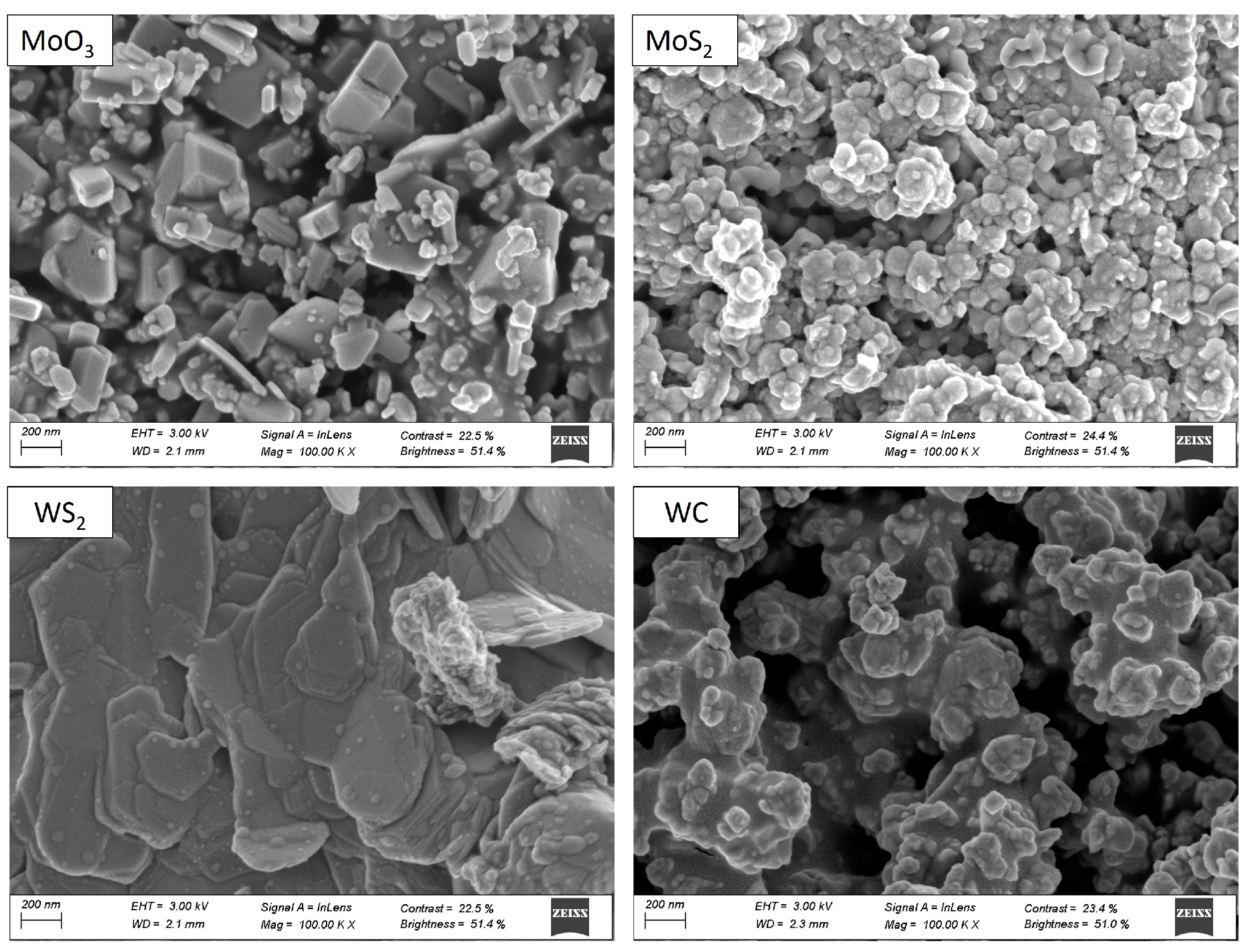 Lubricants 12 00087 g003