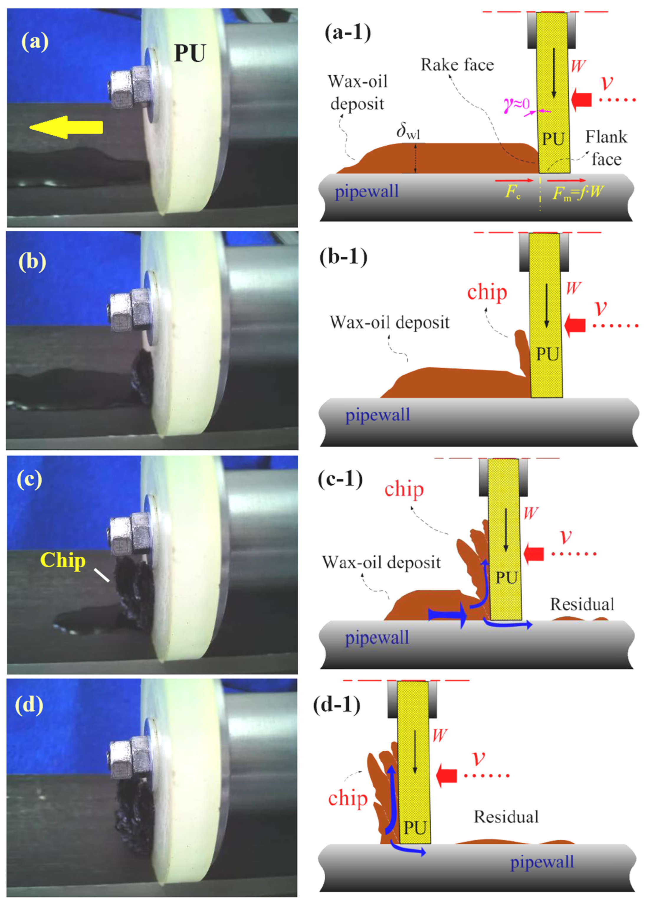 Lubricants 12 00102 g006