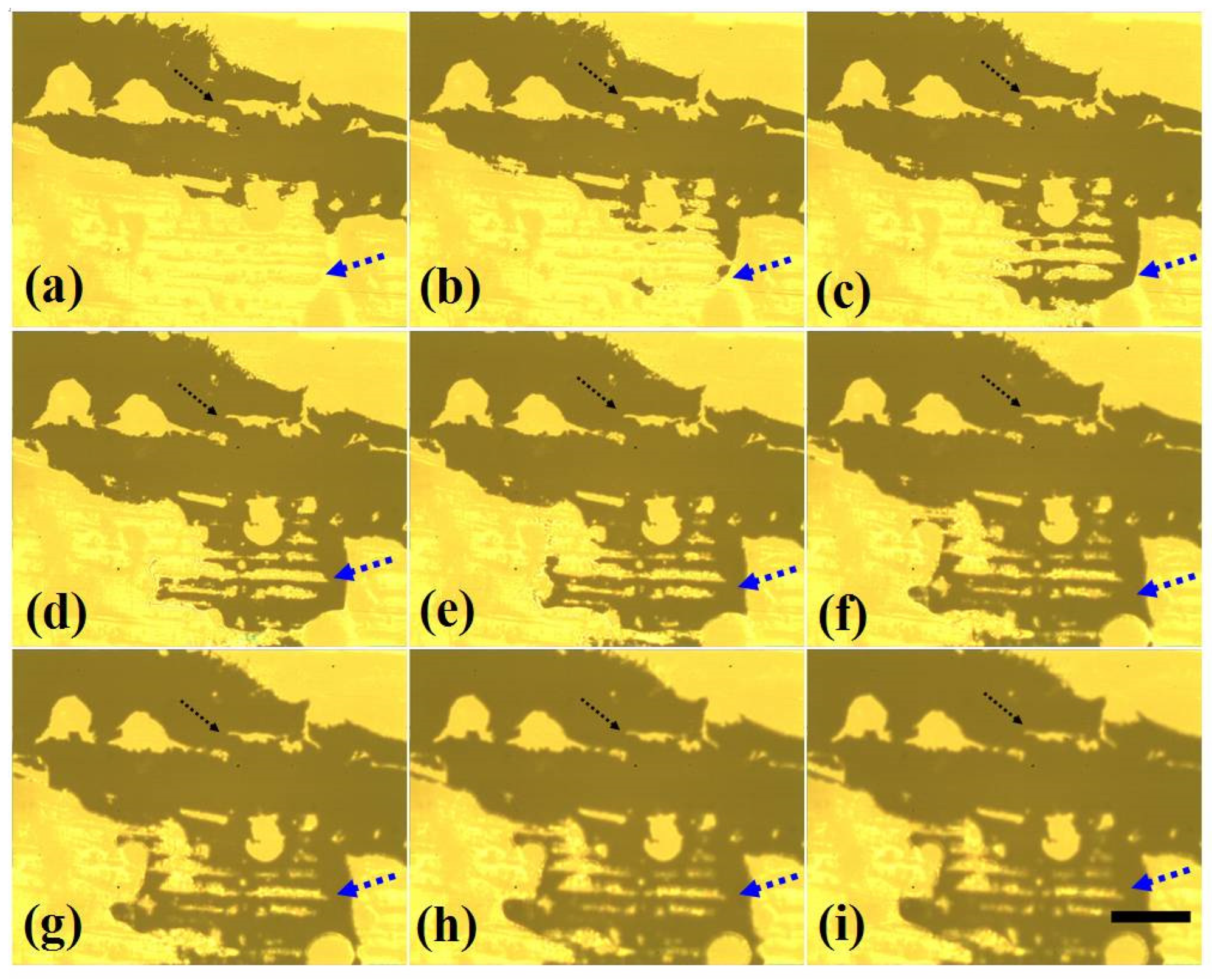 Lubricants 12 00102 g012