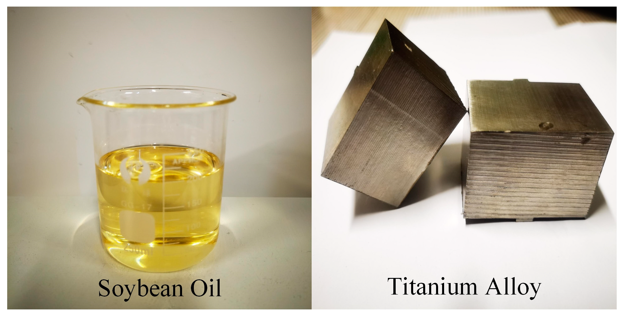 Lubricants 12 00158 g002