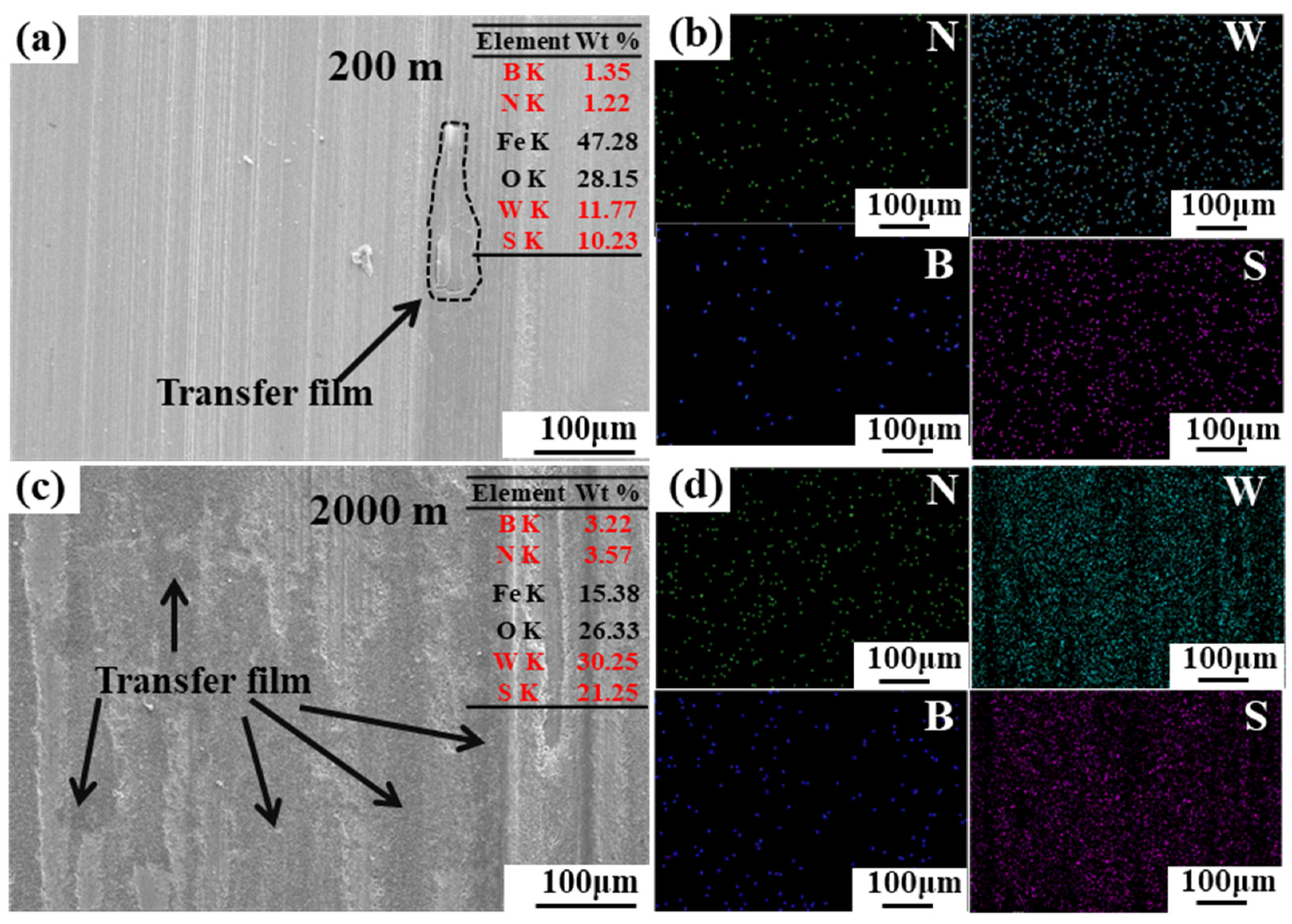 Lubricants 12 00163 g010