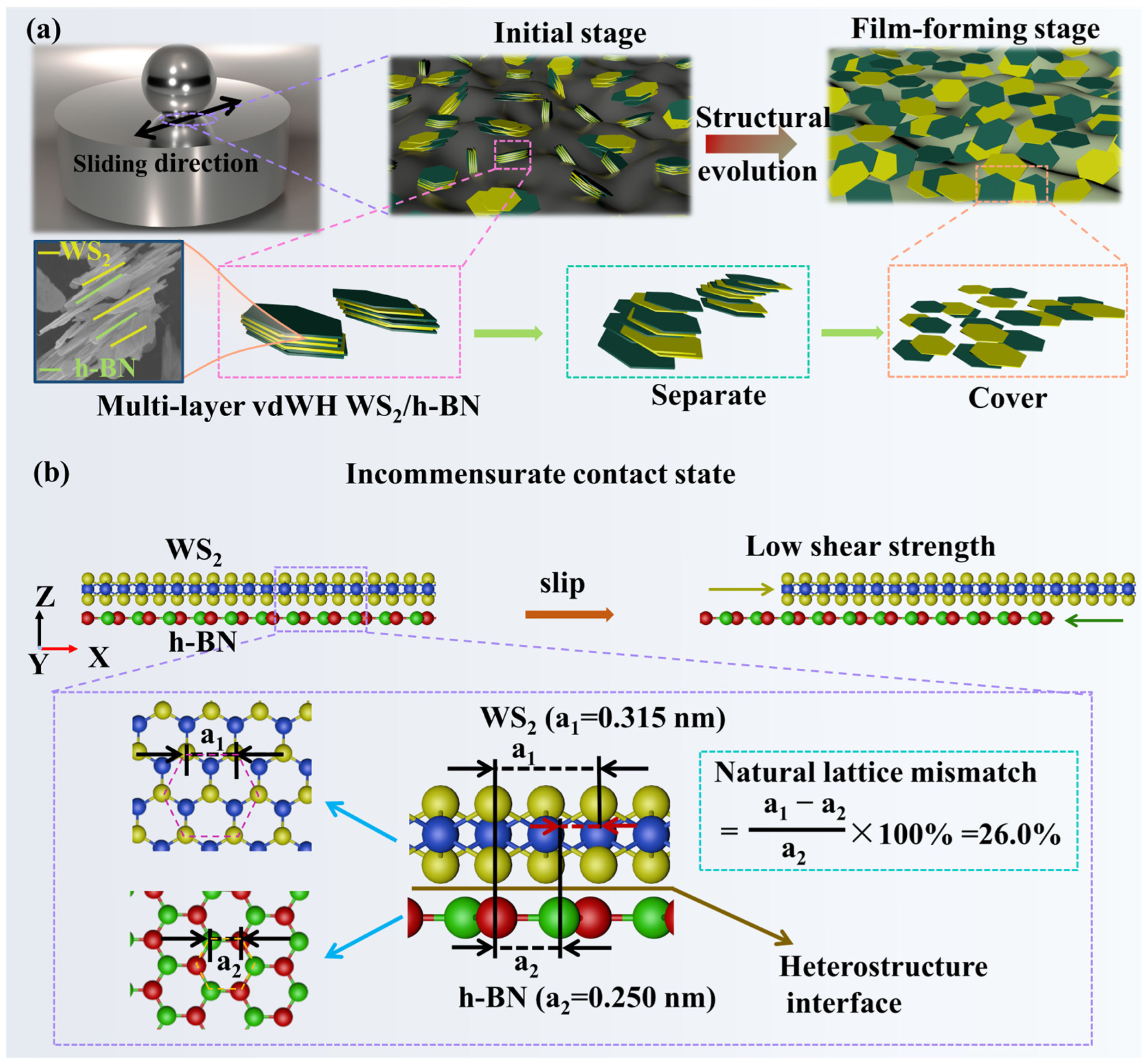 Lubricants 12 00163 g011