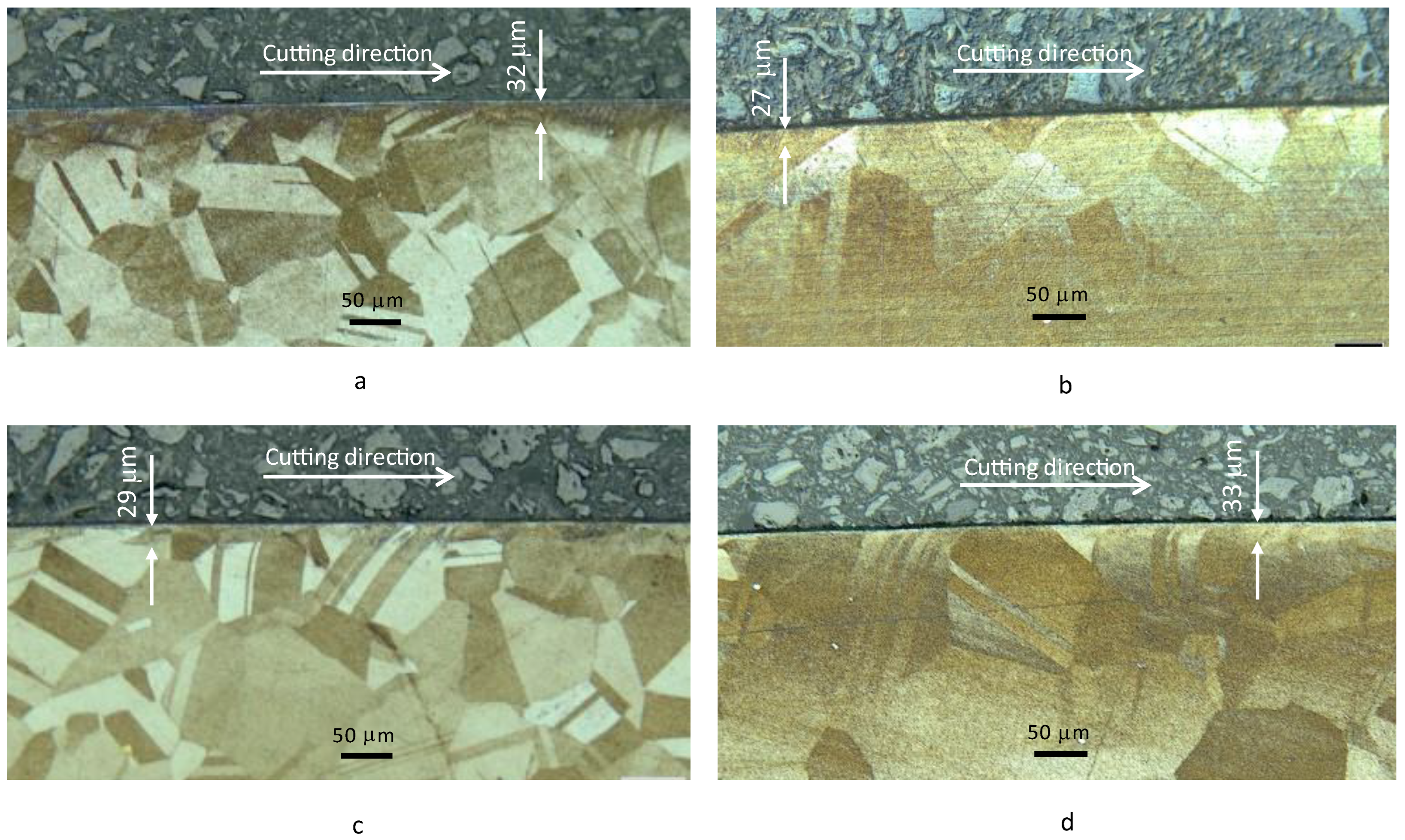 Lubricants 12 00164 g013