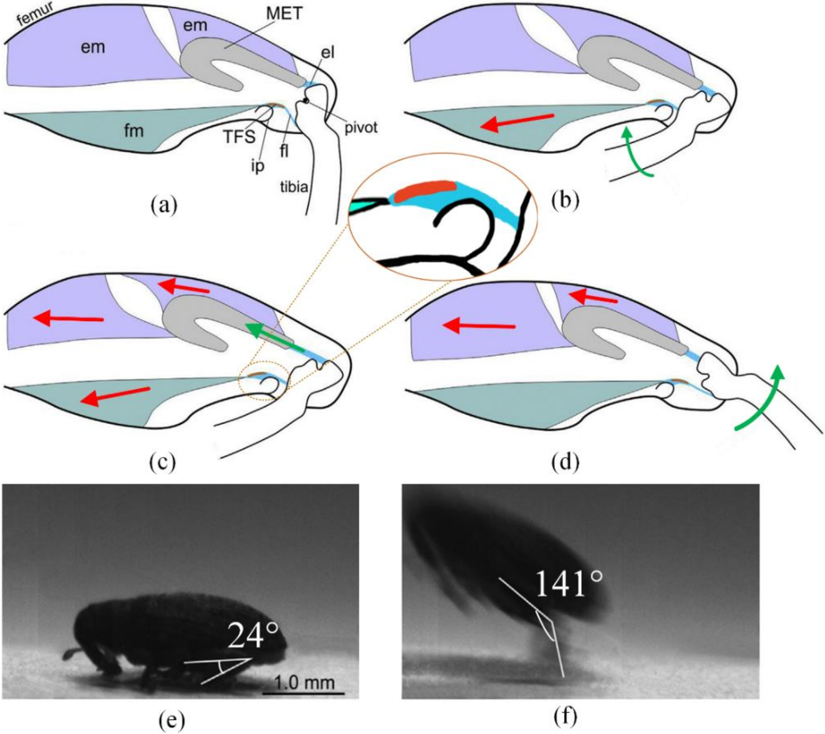 Machines 10 00161 g001