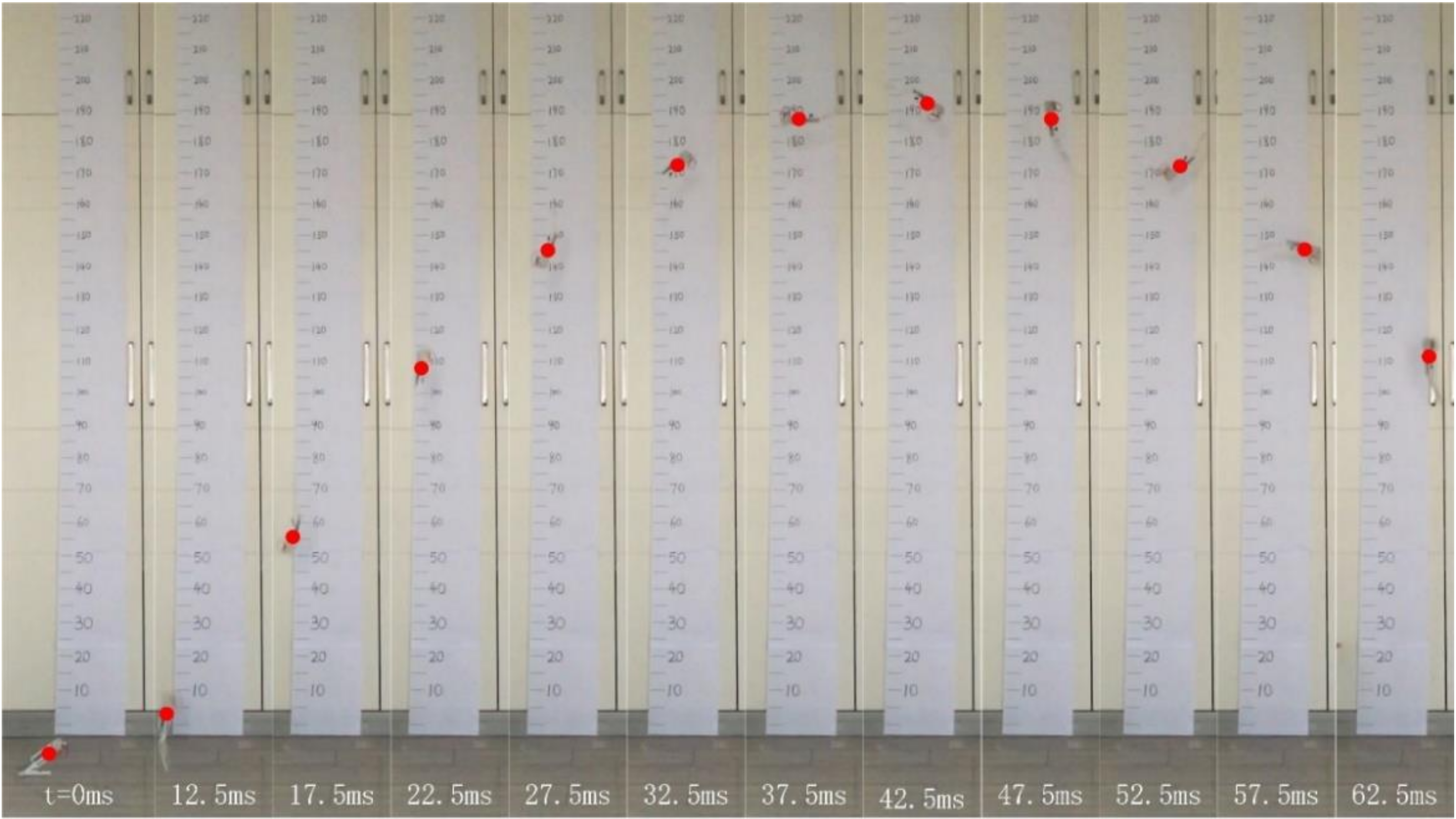 Machines 10 00161 g012