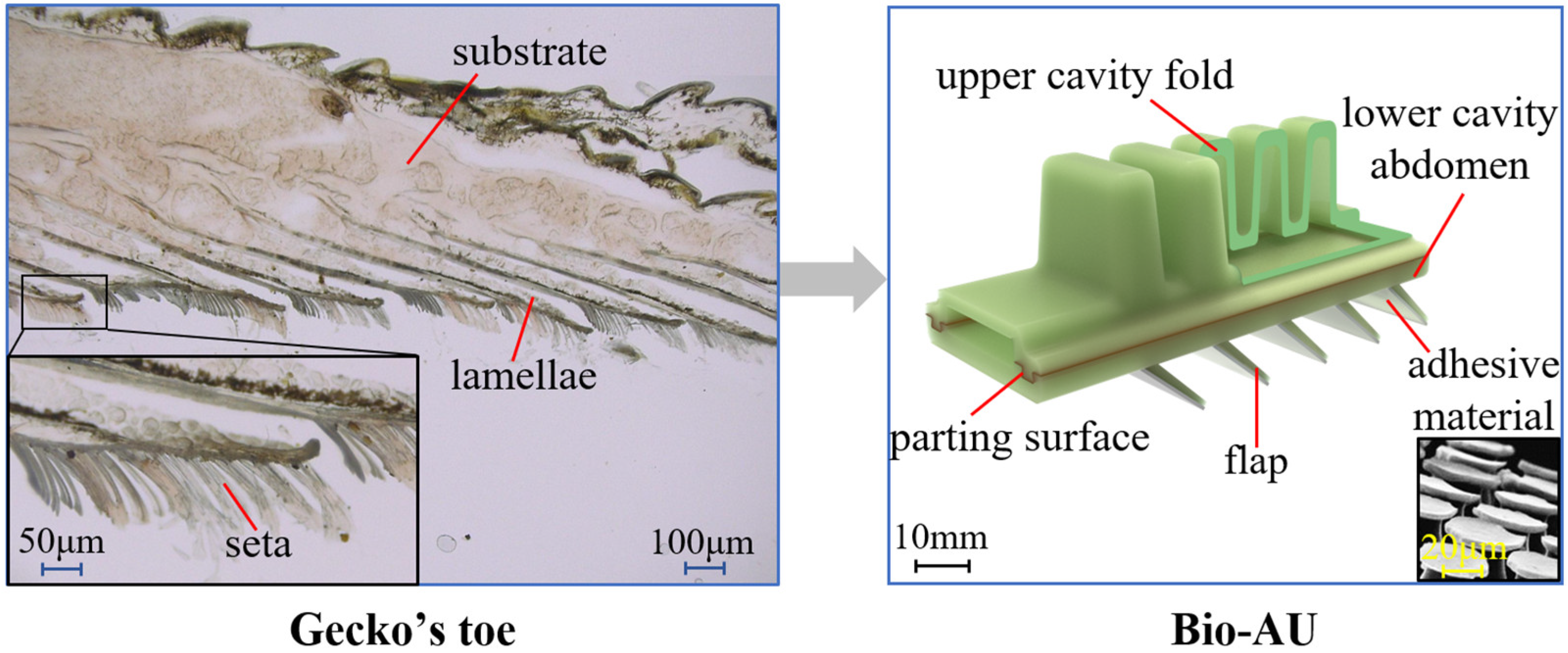 Machines 10 00184 g001